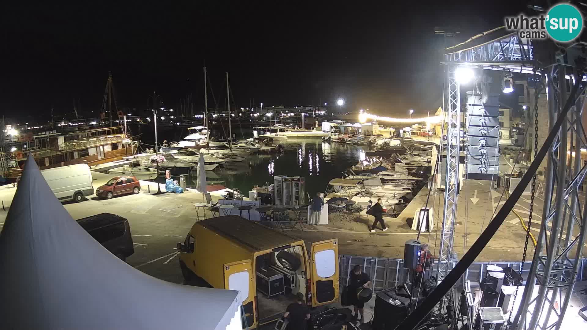Novigrad | Porporela marina