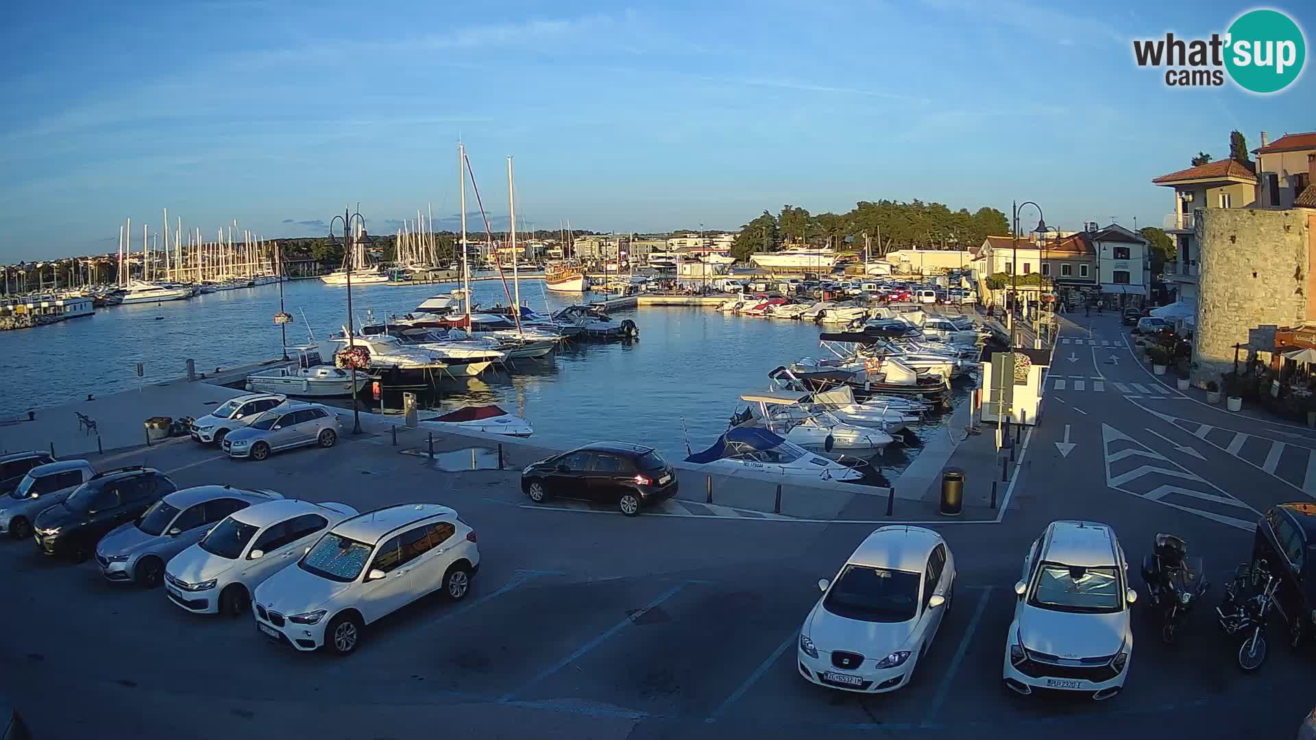Novigrad | Porporela marina