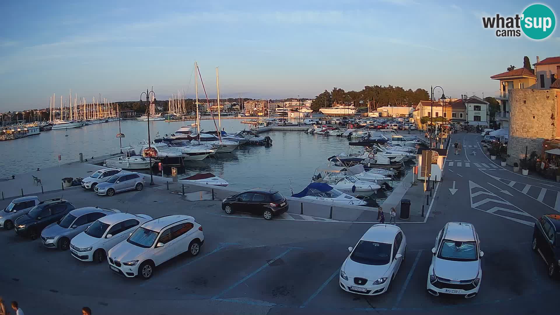 Novigrad | Porporela marina