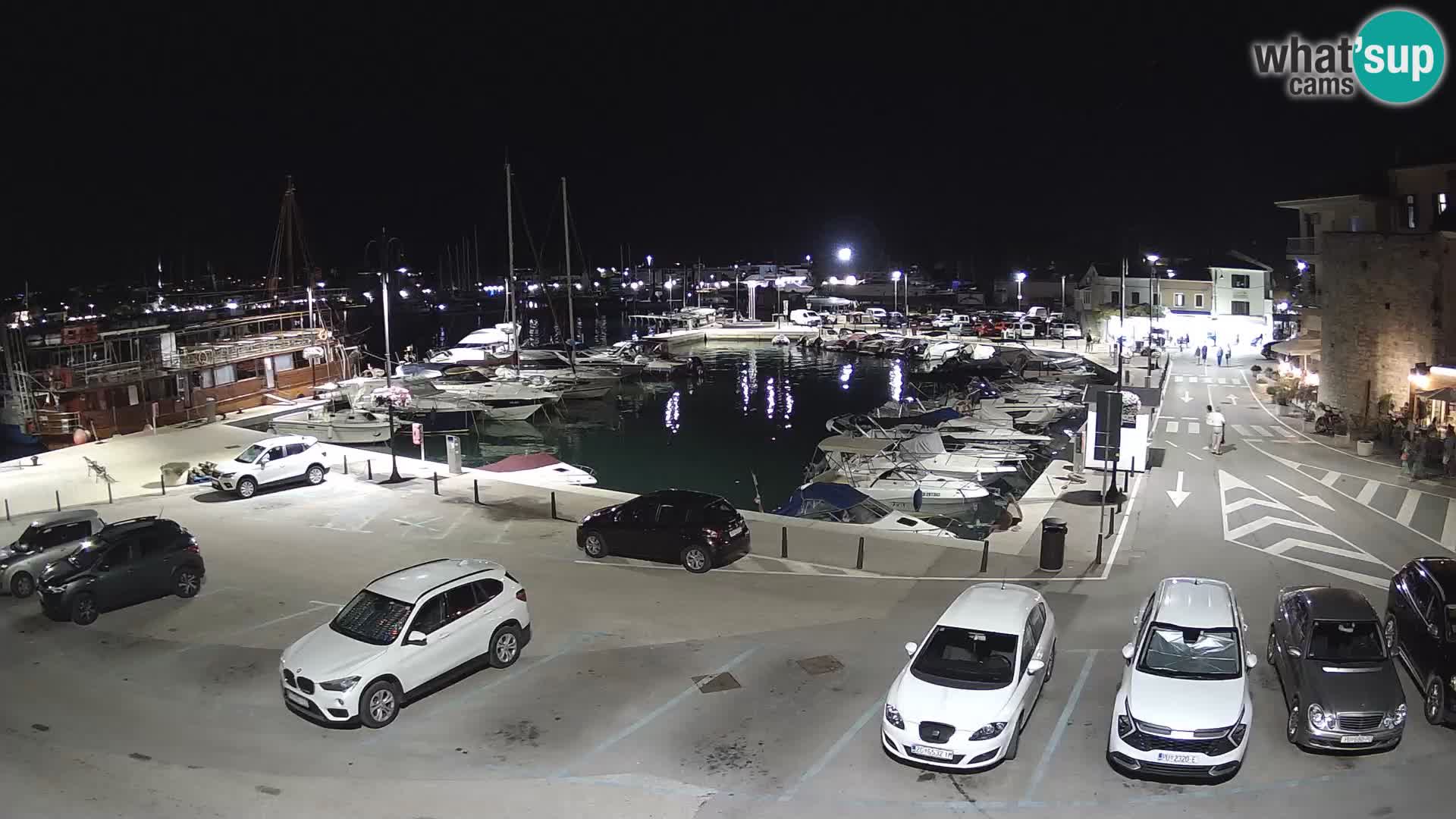 Novigrad | Porporela marina