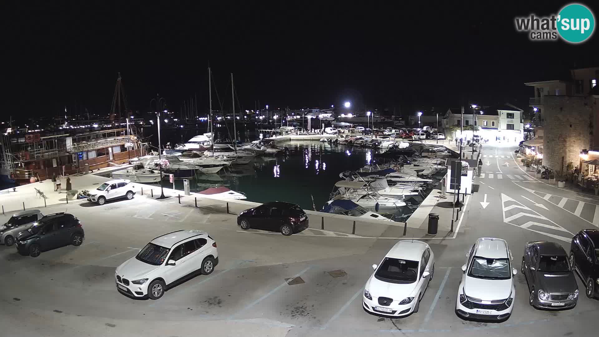 Novigrad | Porporela marina