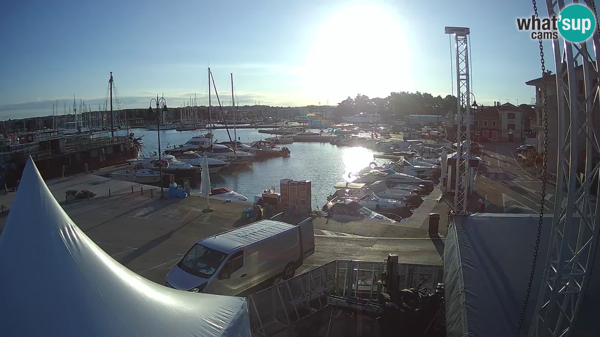 Novigrad | Porporela marina