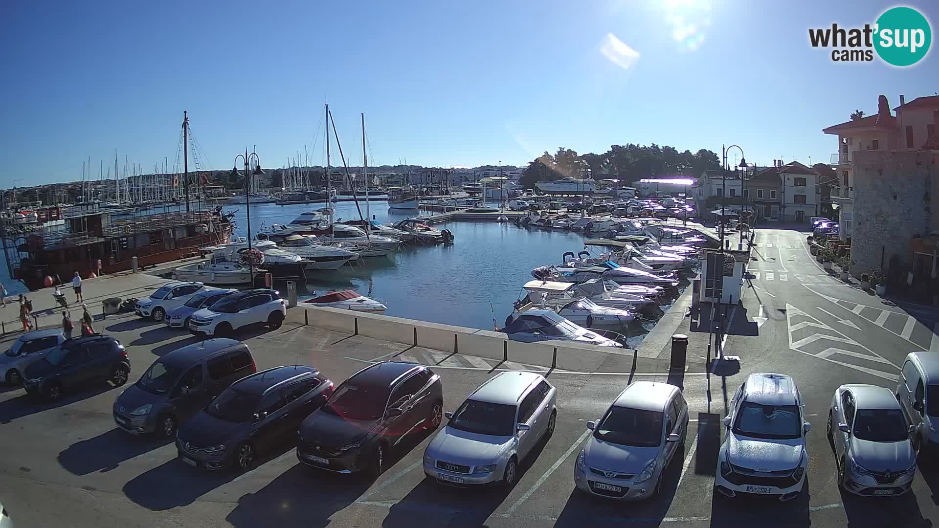Novigrad | Porporela marina