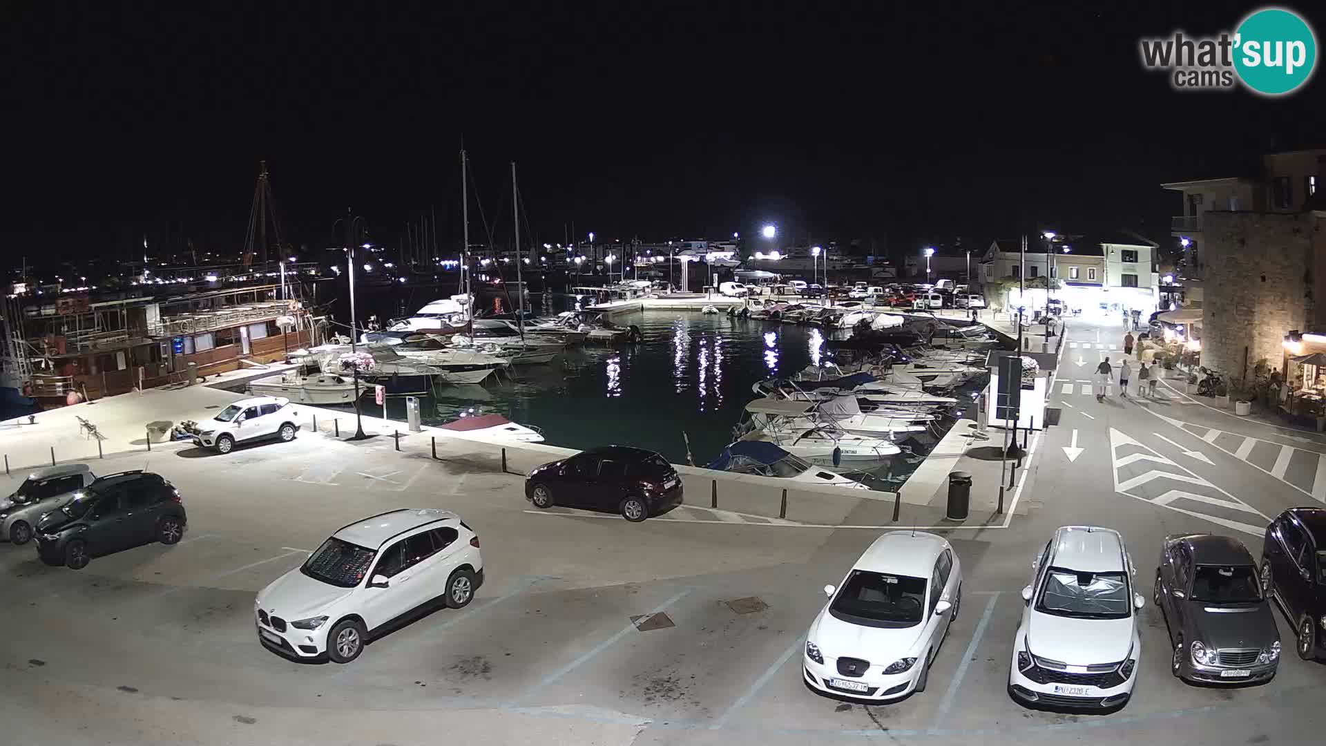 Novigrad | Porporela marina