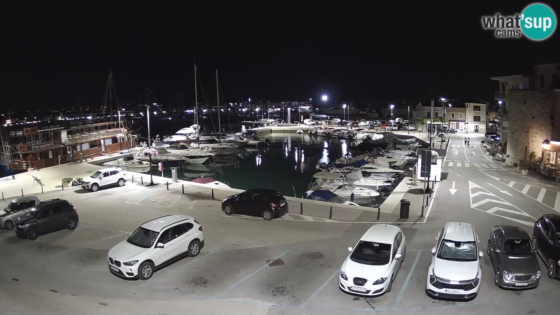 Novigrad | Porporela marina