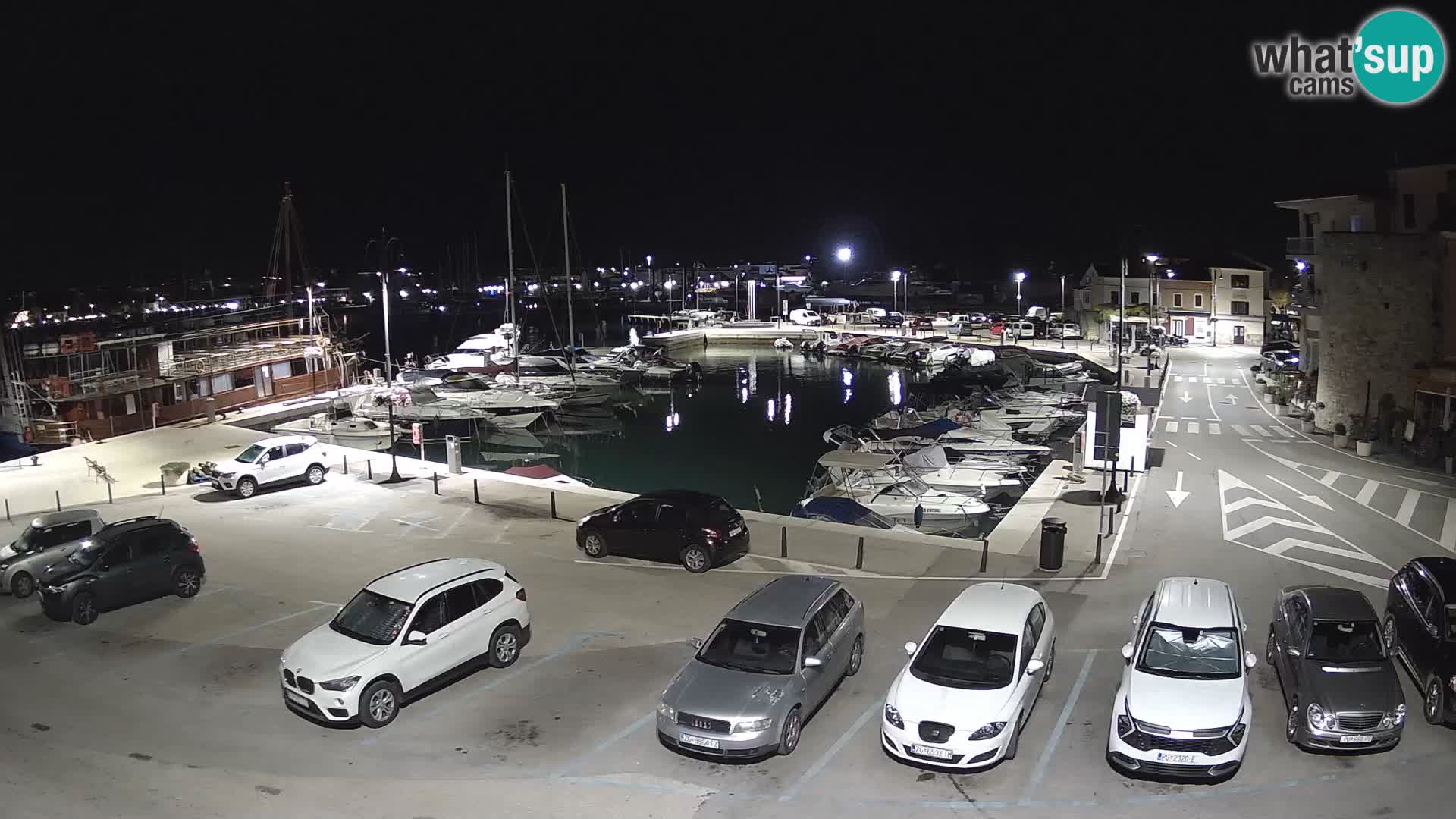 Novigrad | Porporela marina