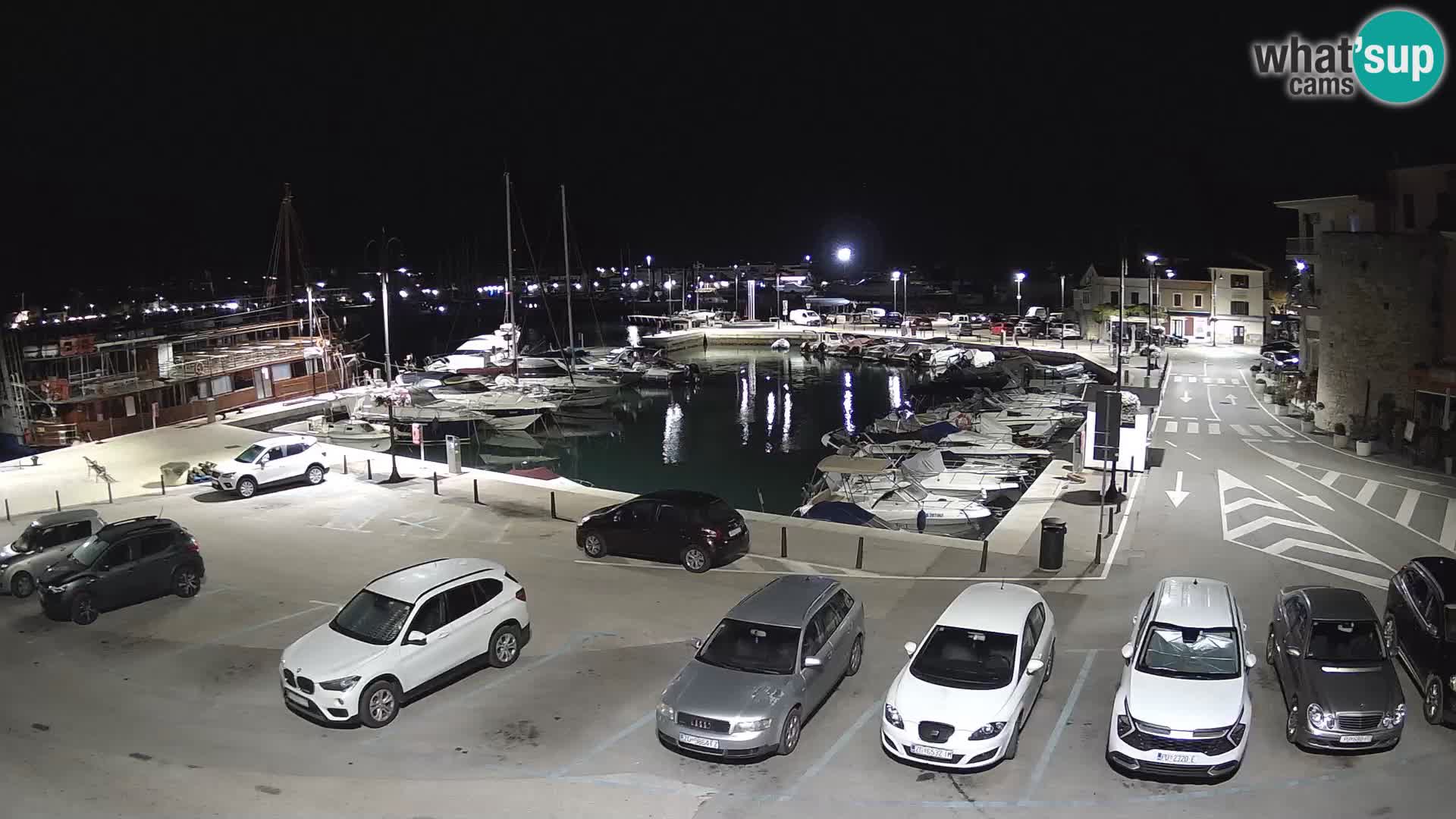 Novigrad | Porporela marina