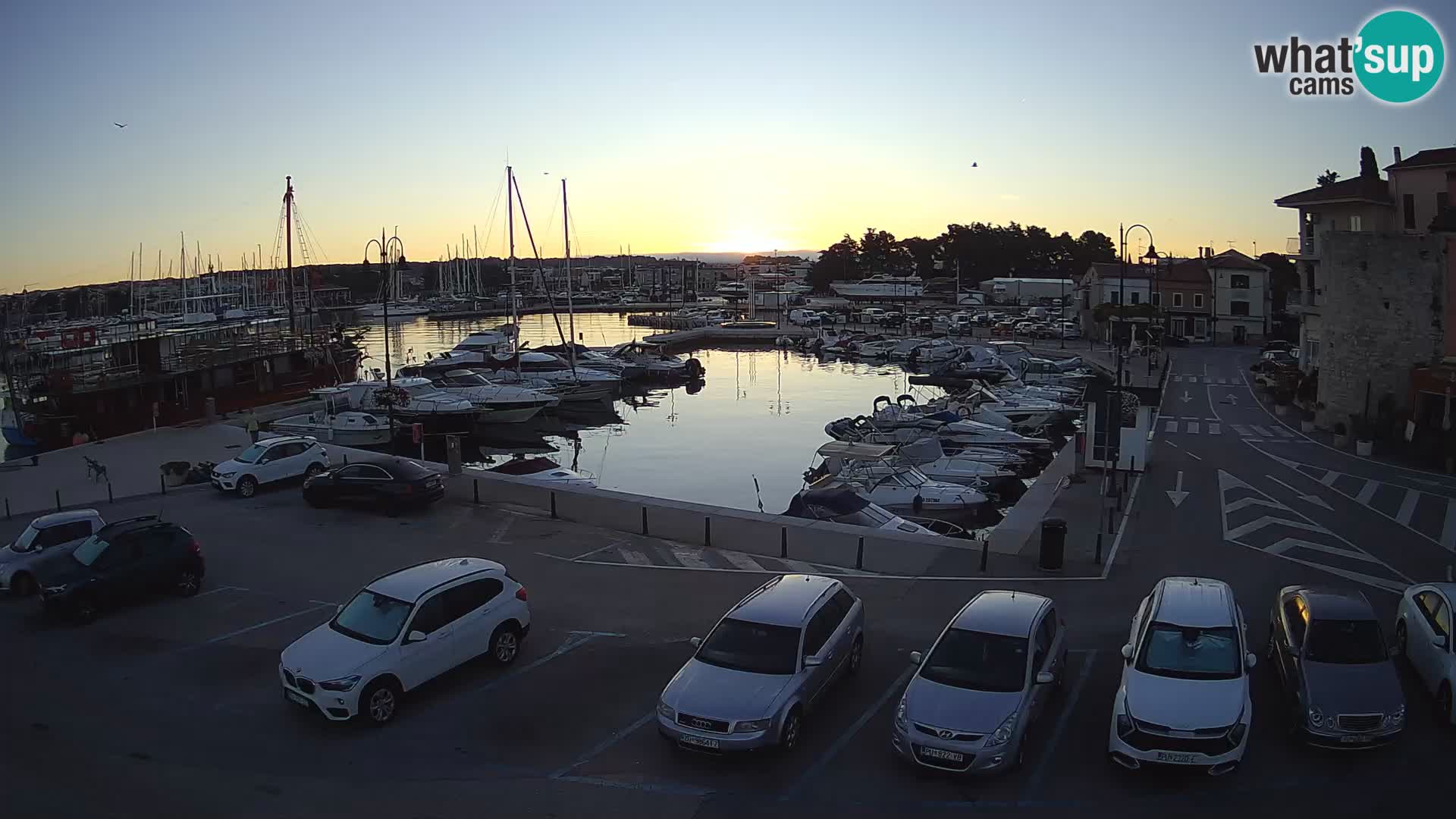 Novigrad | Porporela marina