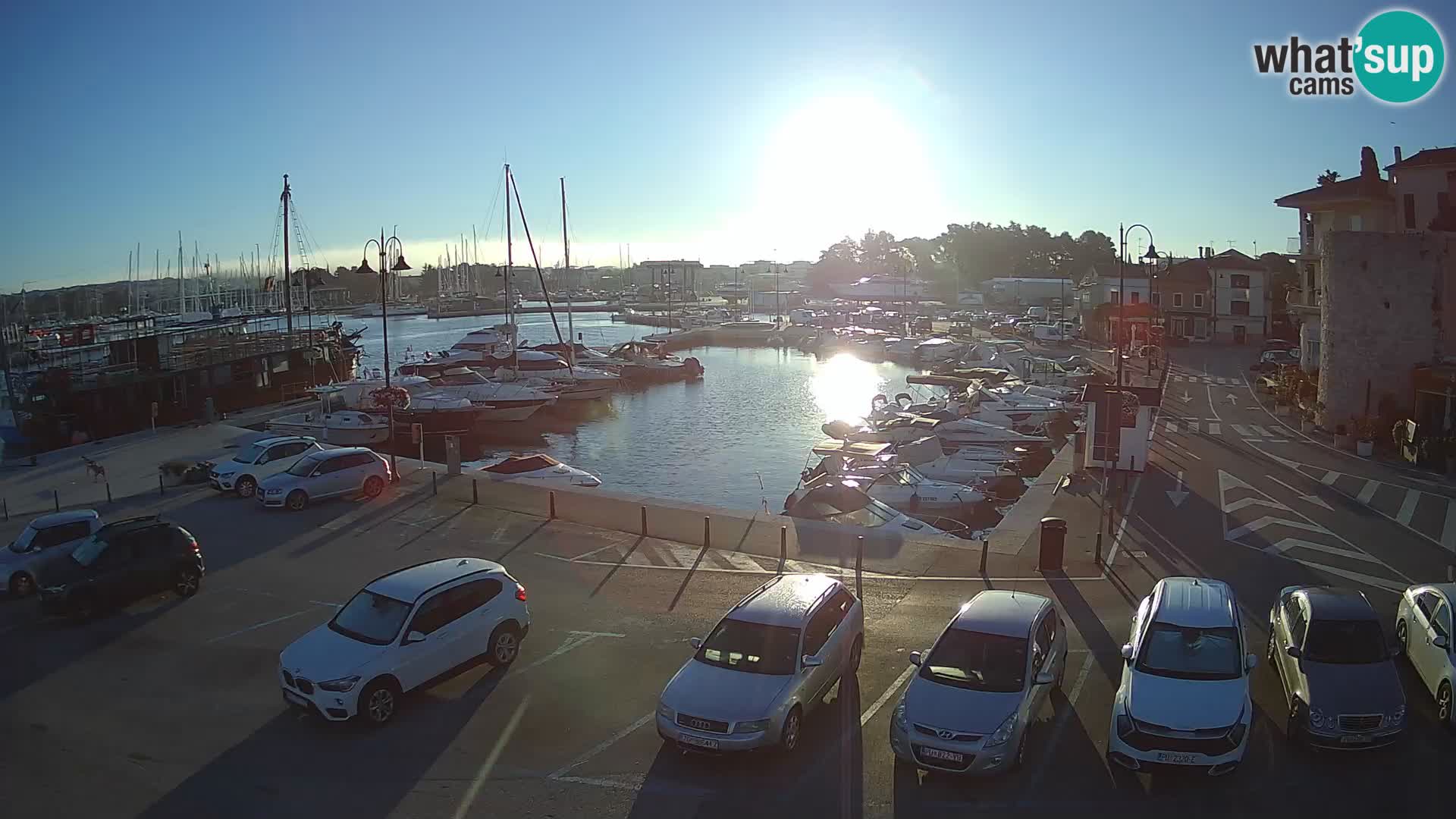 Novigrad | Porporela marina
