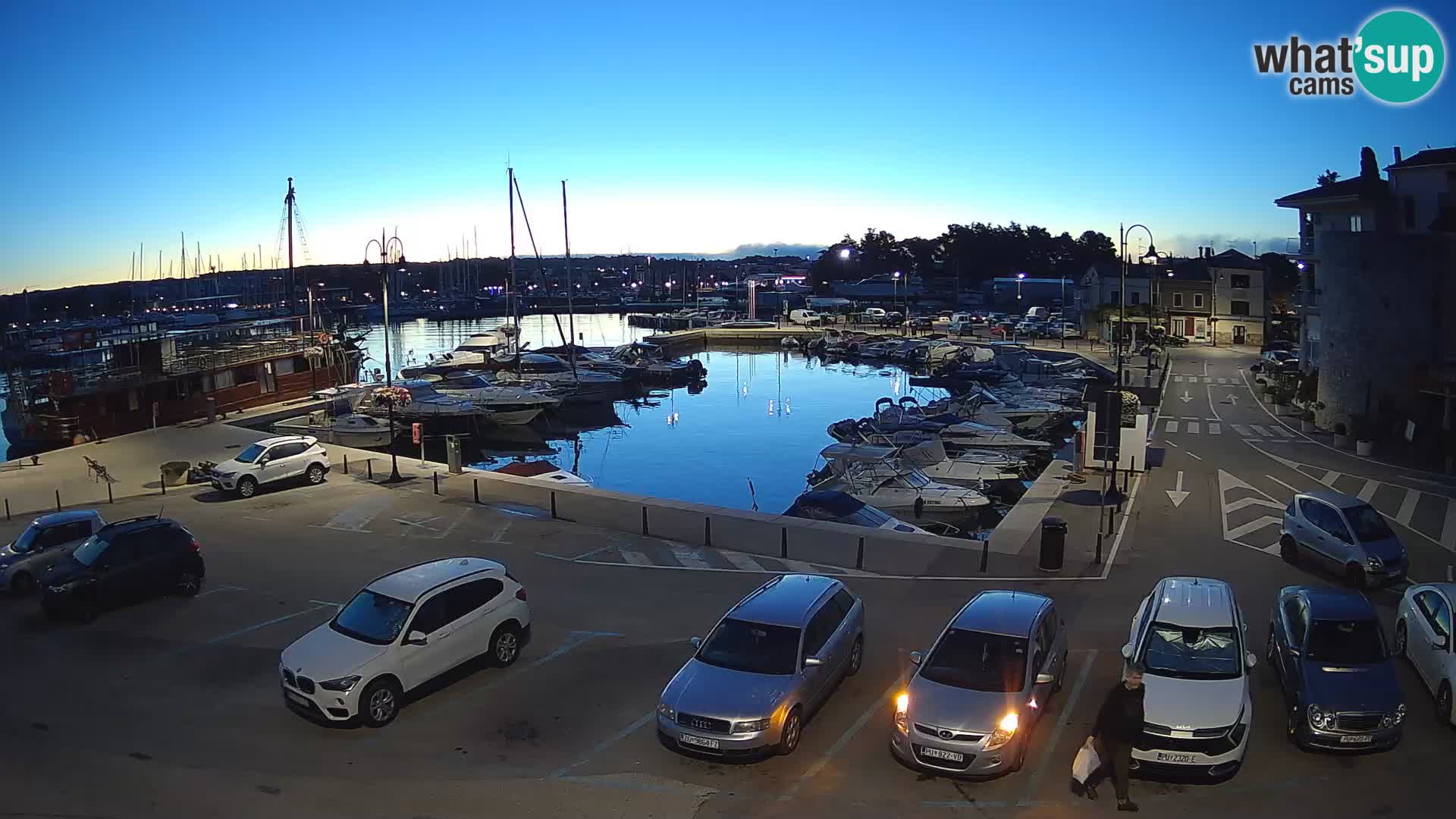 Novigrad | Porporela marina