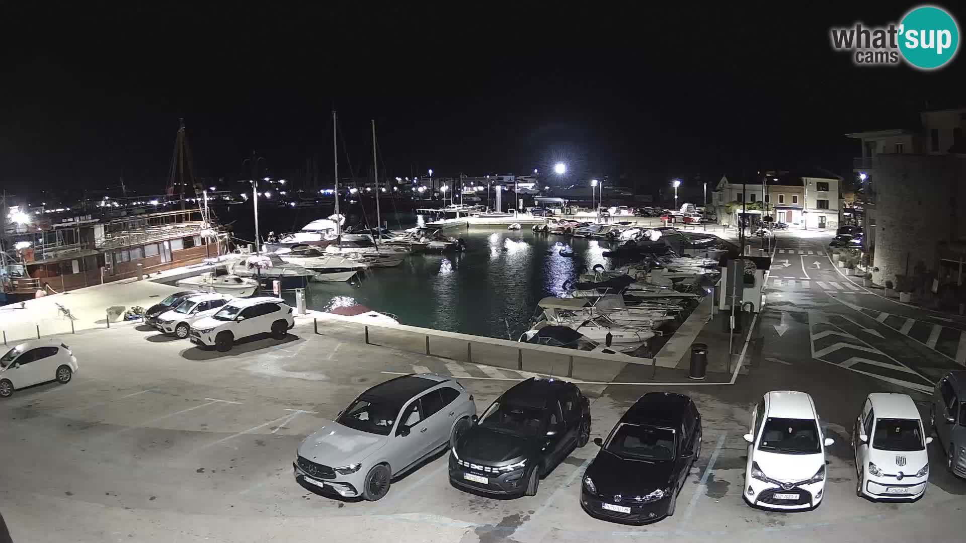Novigrad | Porporela marina