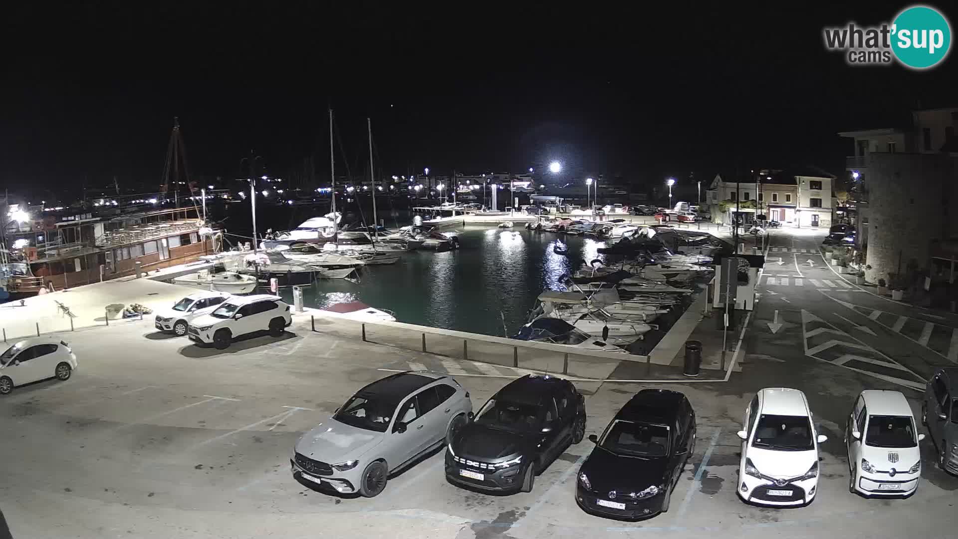 Novigrad | Porporela marina