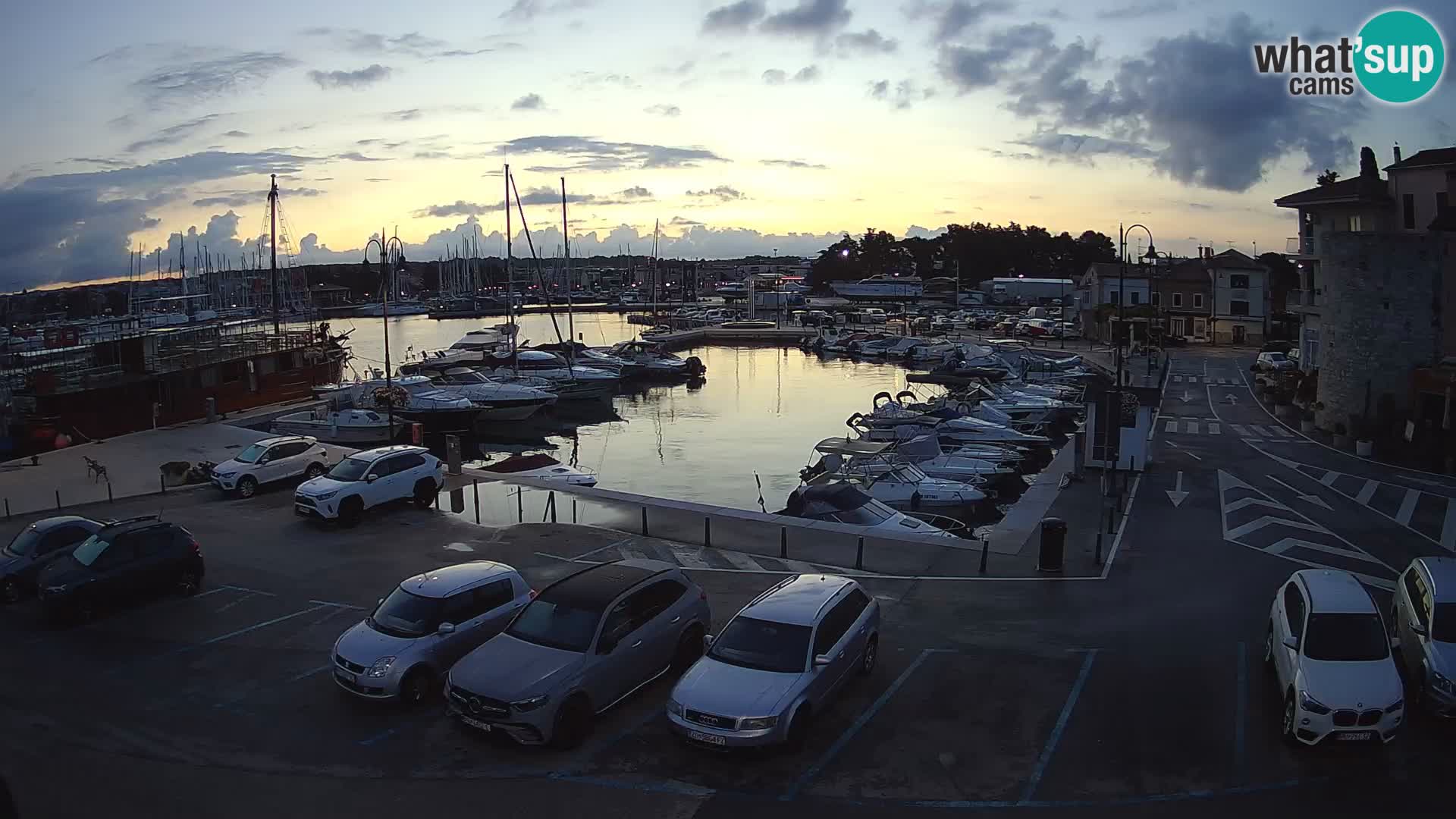 Novigrad | Porporela marina