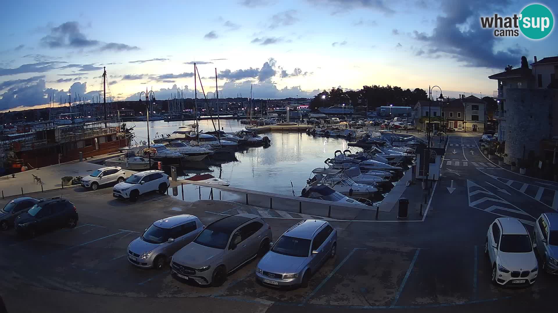 Novigrad | Porporela marina