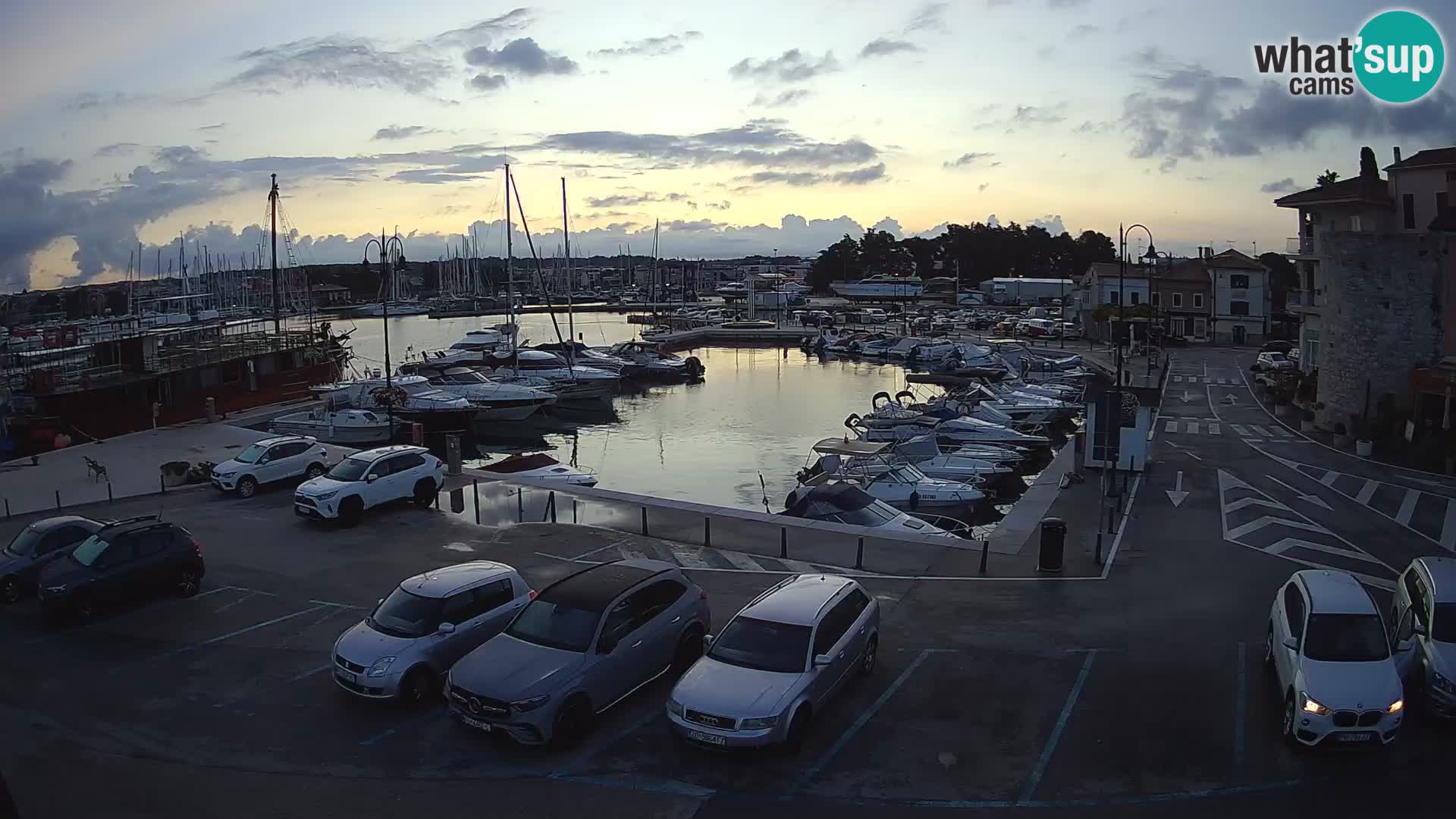 Novigrad | Porporela marina