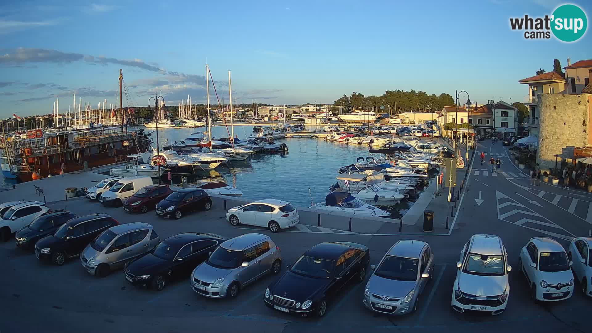 Novigrad | Porporela marina