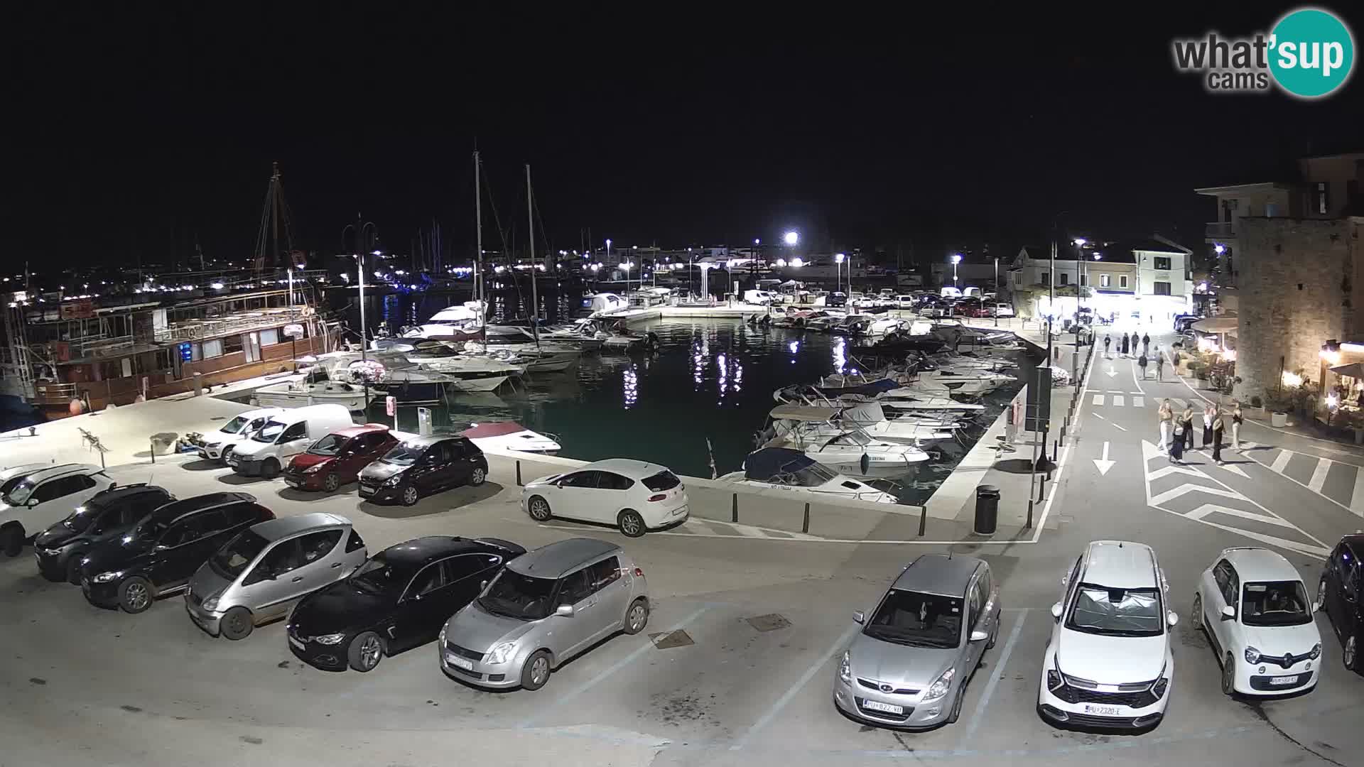 Novigrad | Porporela marina