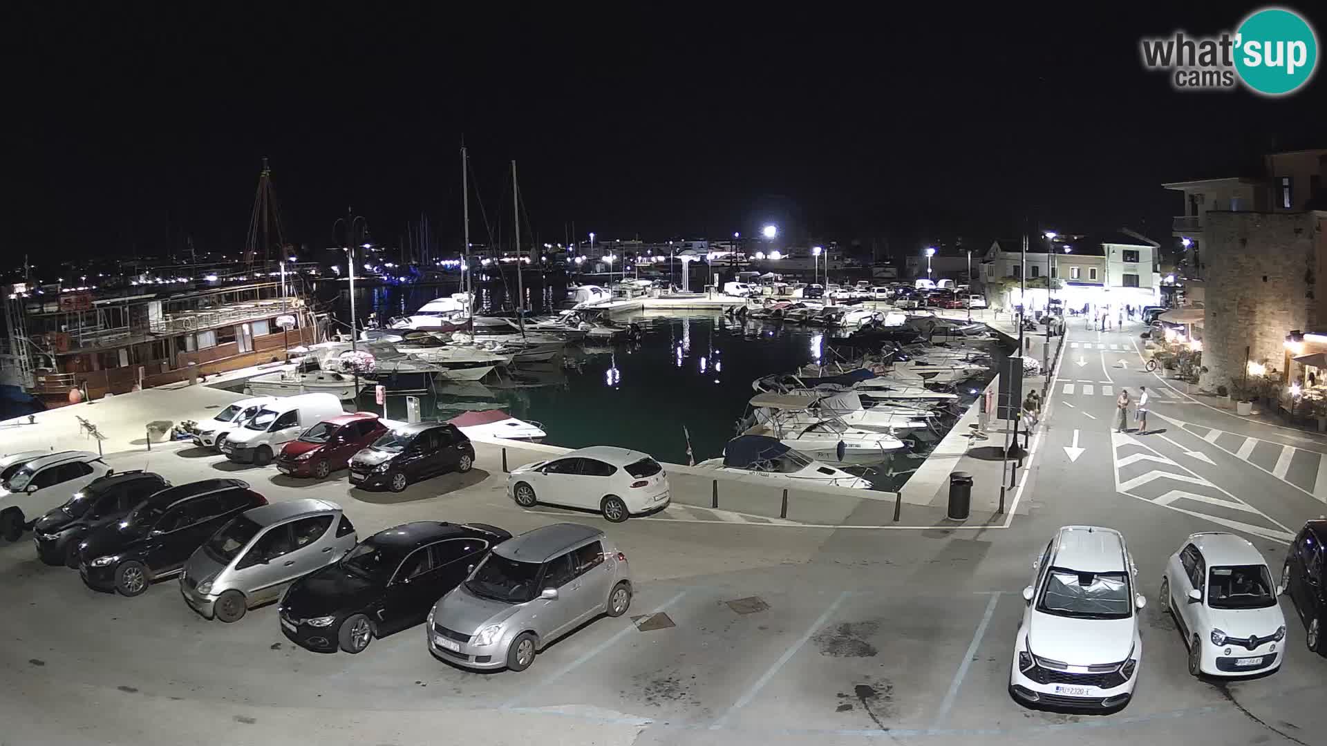 Novigrad | Porporela marina