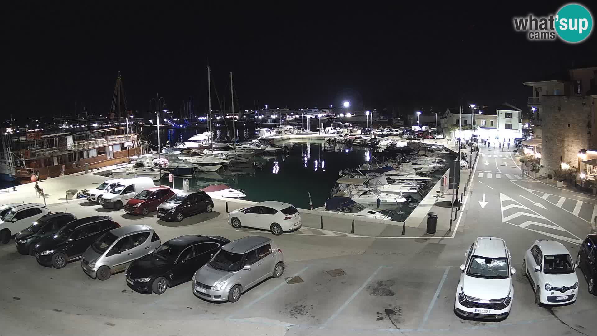 Novigrad | Porporela marina