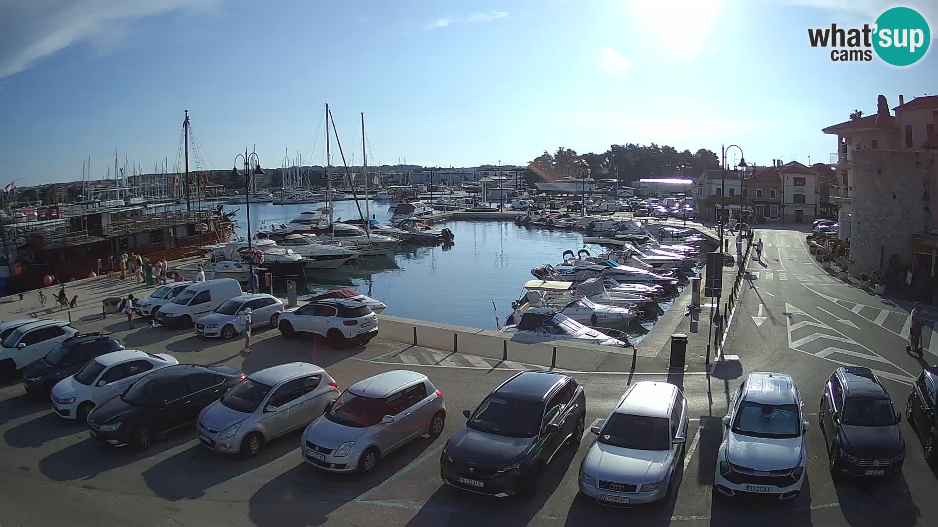 Novigrad | Porporela marina