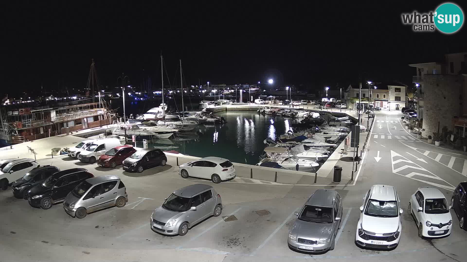 Novigrad | Porporela marina