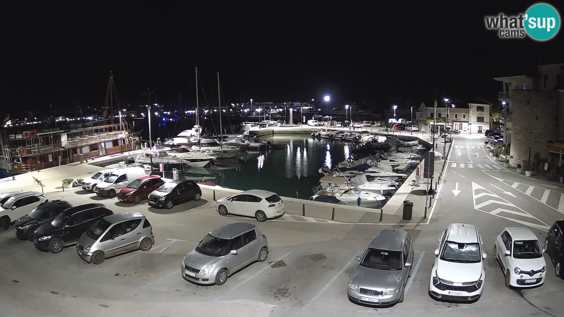 Novigrad | Porporela marina