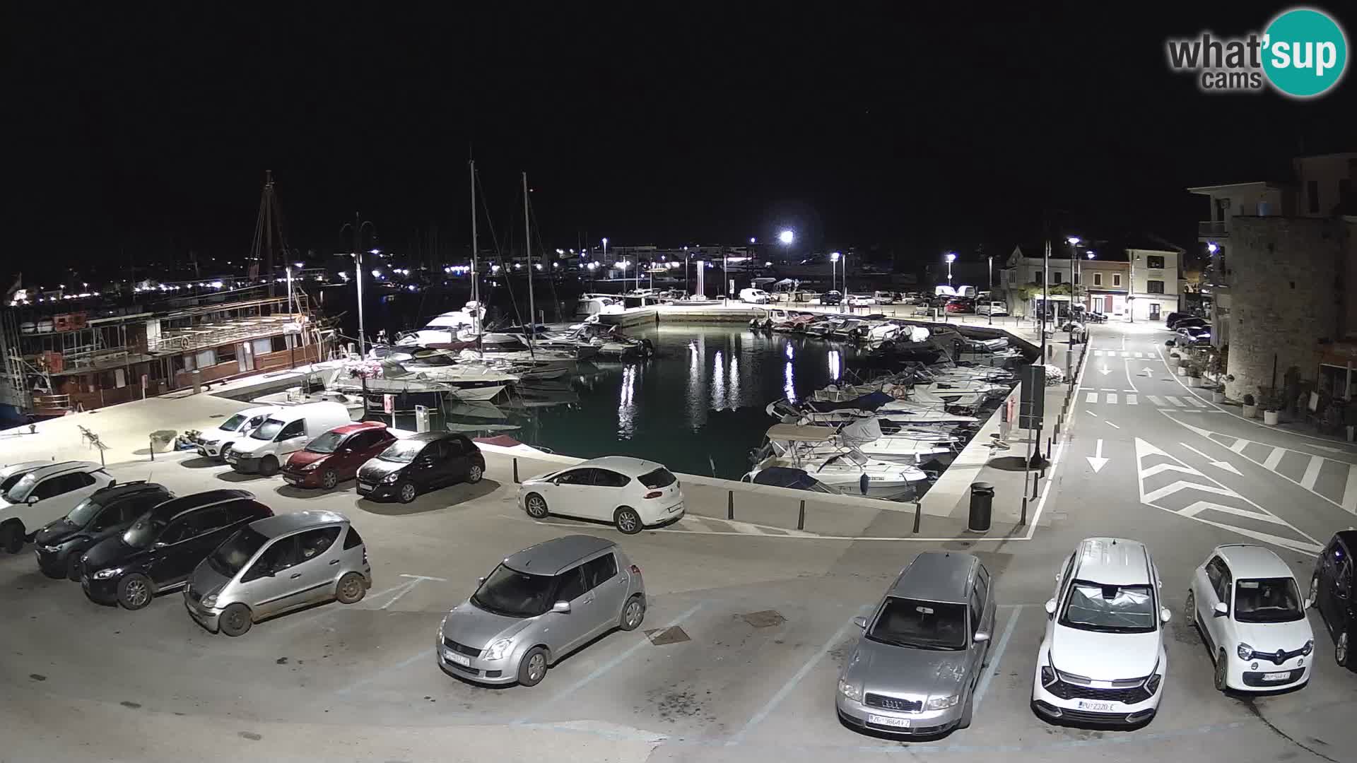 Novigrad | Porporela marina