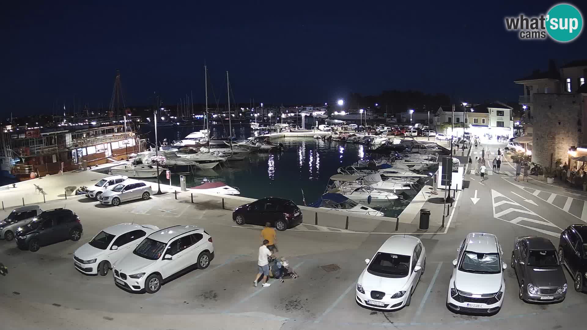 Novigrad | Porporela marina
