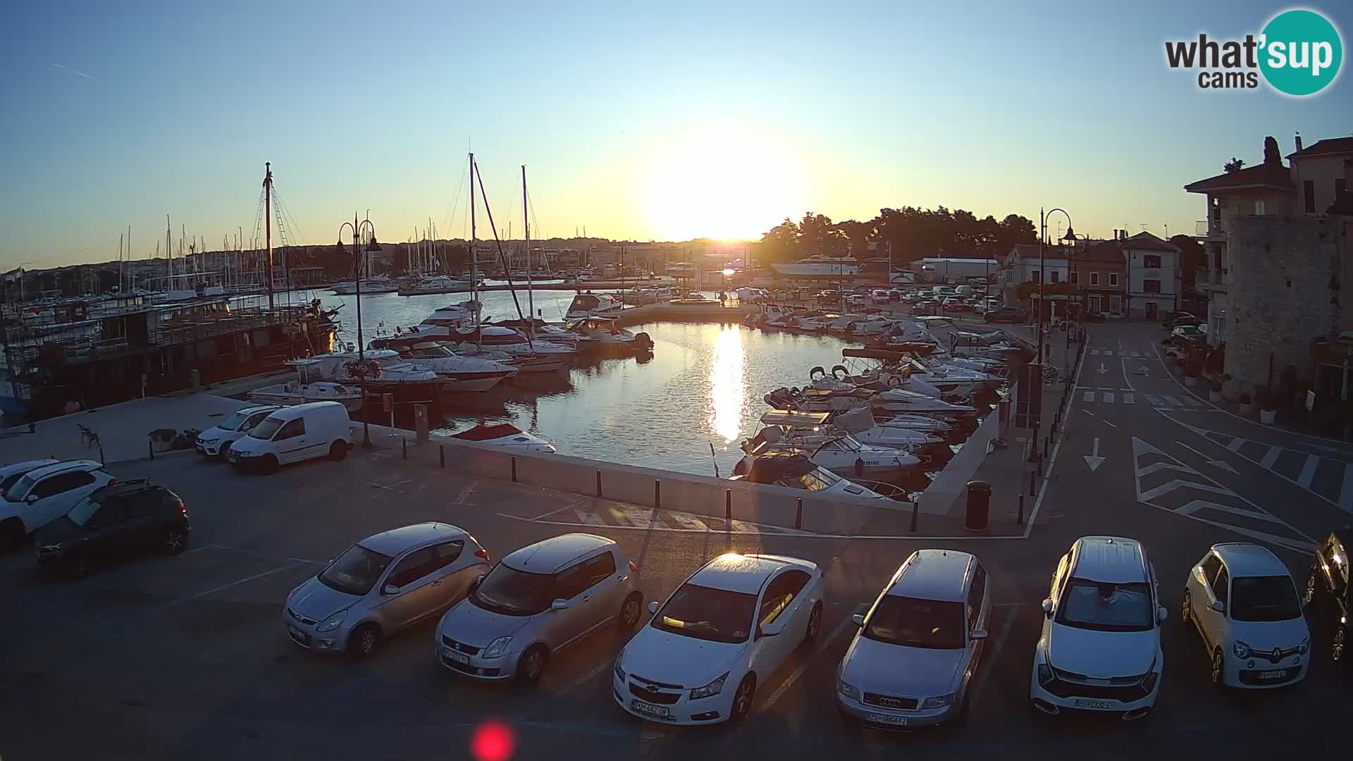 Novigrad | Porporela marina
