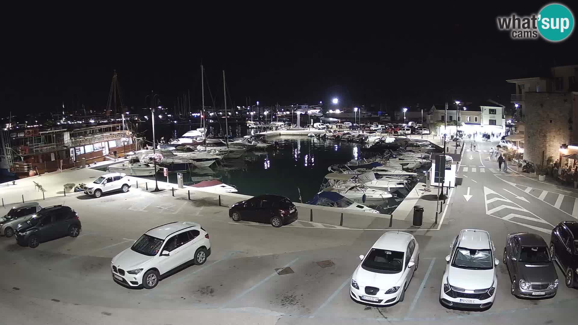 Novigrad | Porporela marina