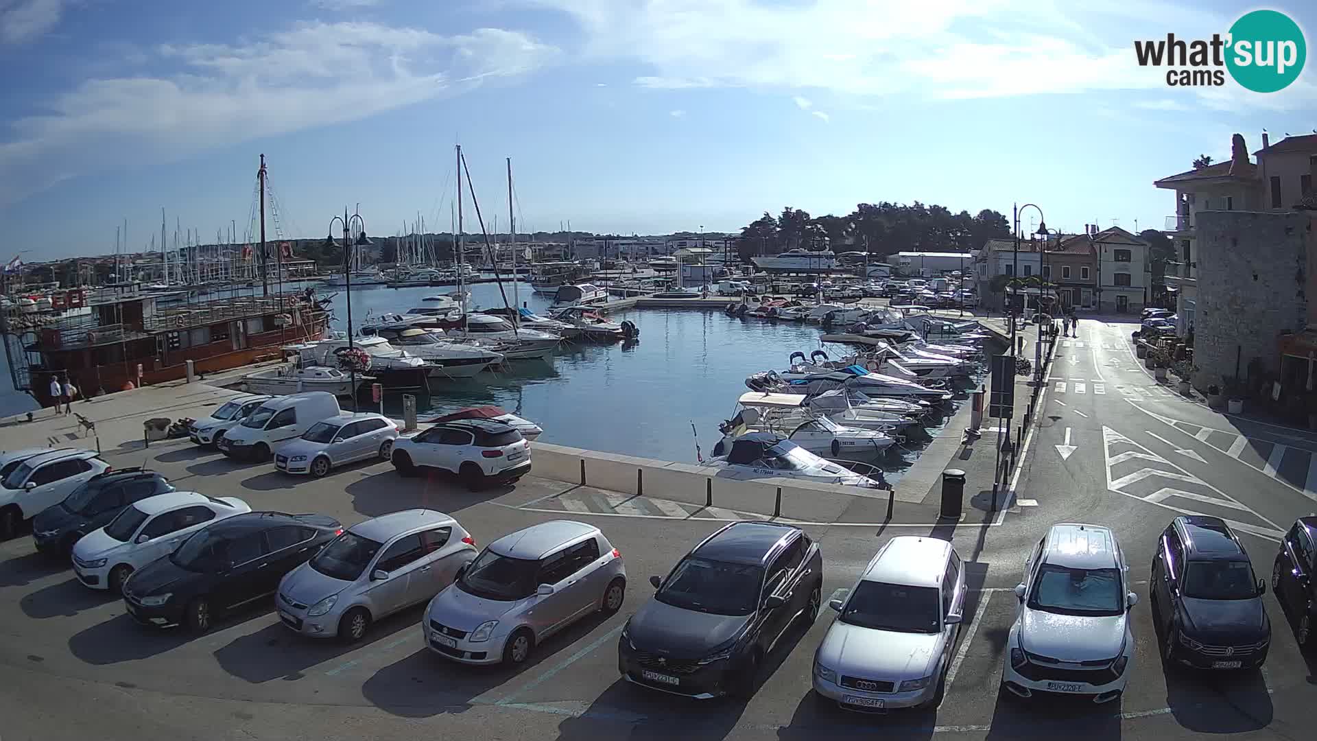 Novigrad | Porporela marina