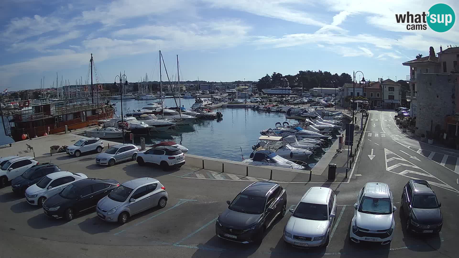 Novigrad | Porporela marina