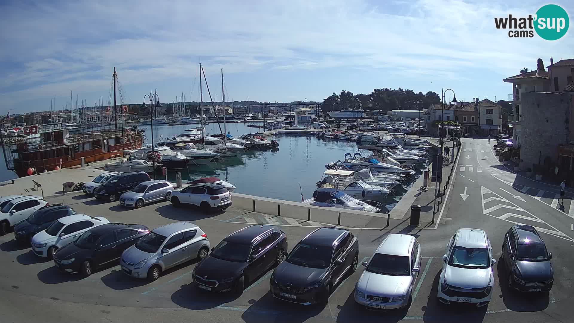 Novigrad | Porporela marina
