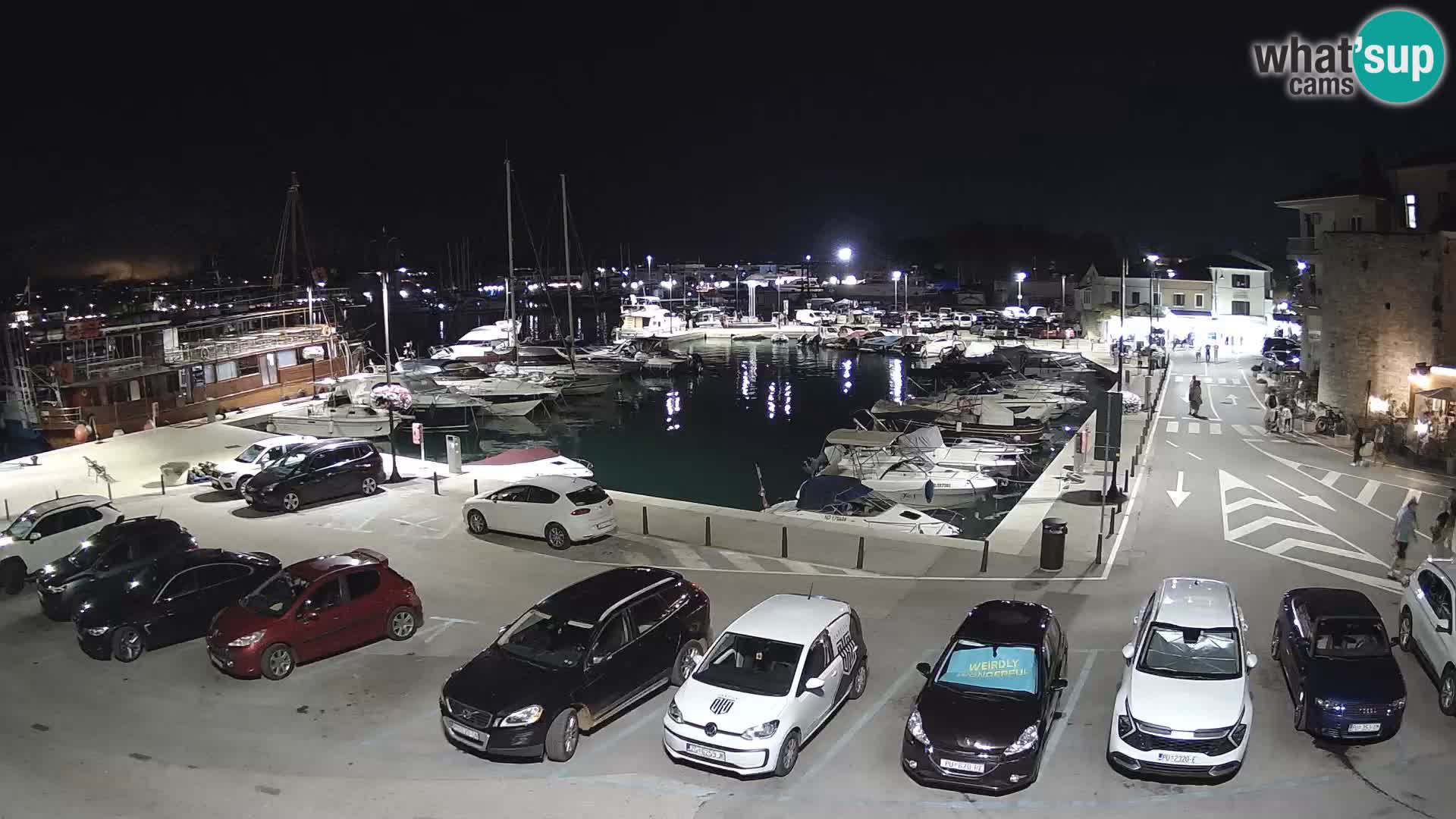 Novigrad | Porporela marina