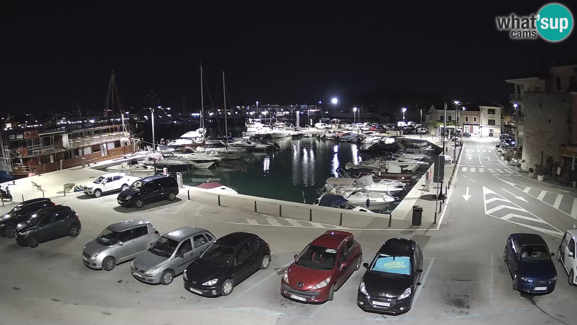 Novigrad | Porporela marina