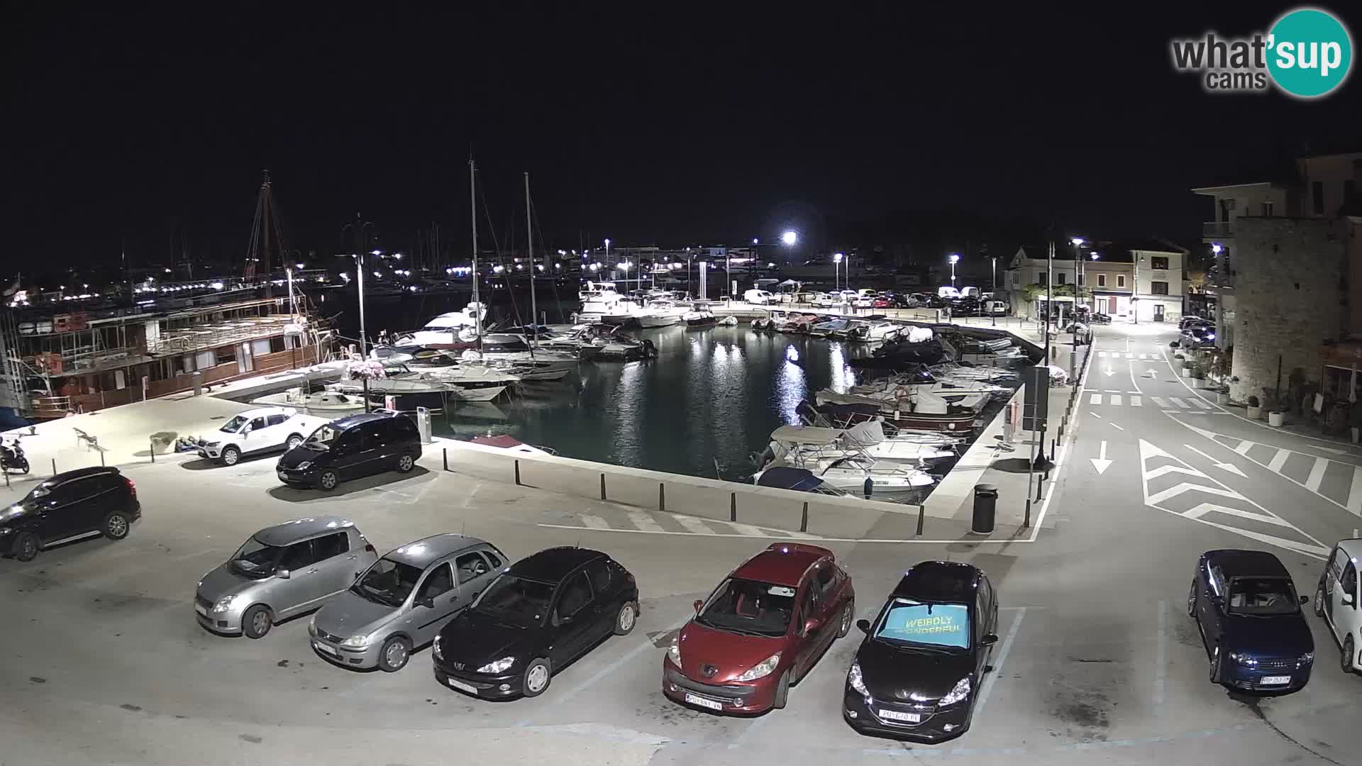 Novigrad | Porporela marina