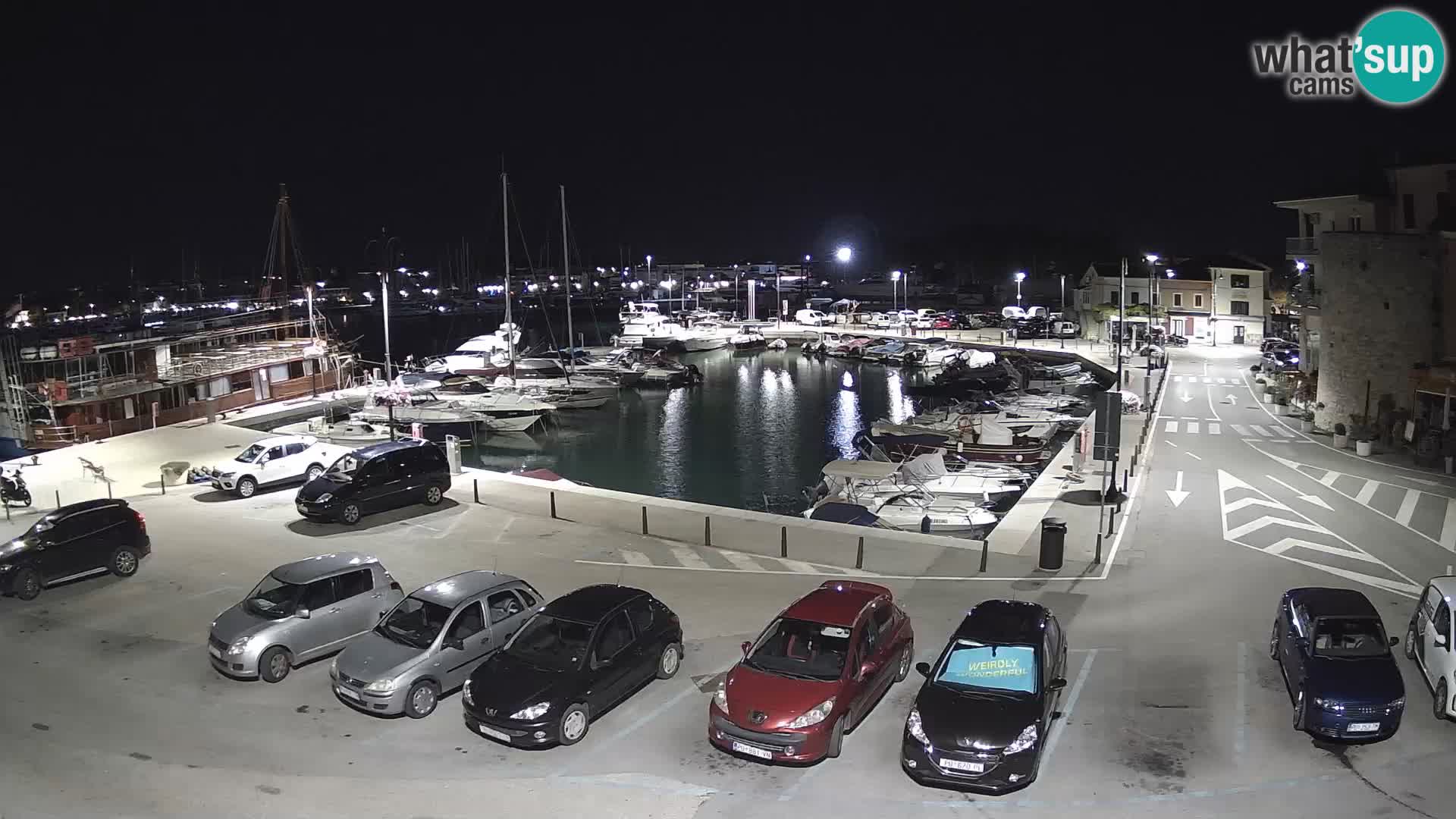 Novigrad | Porporela marina