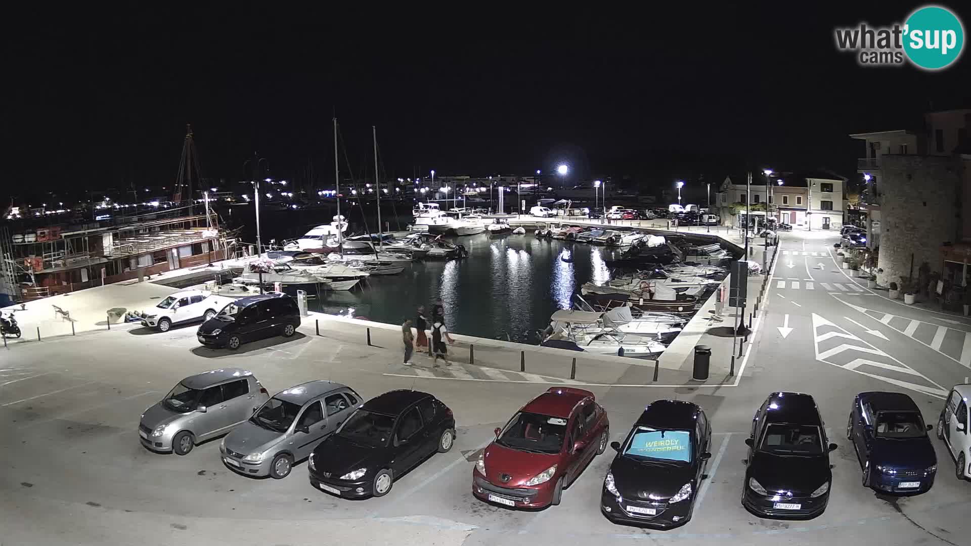 Novigrad | Porporela marina