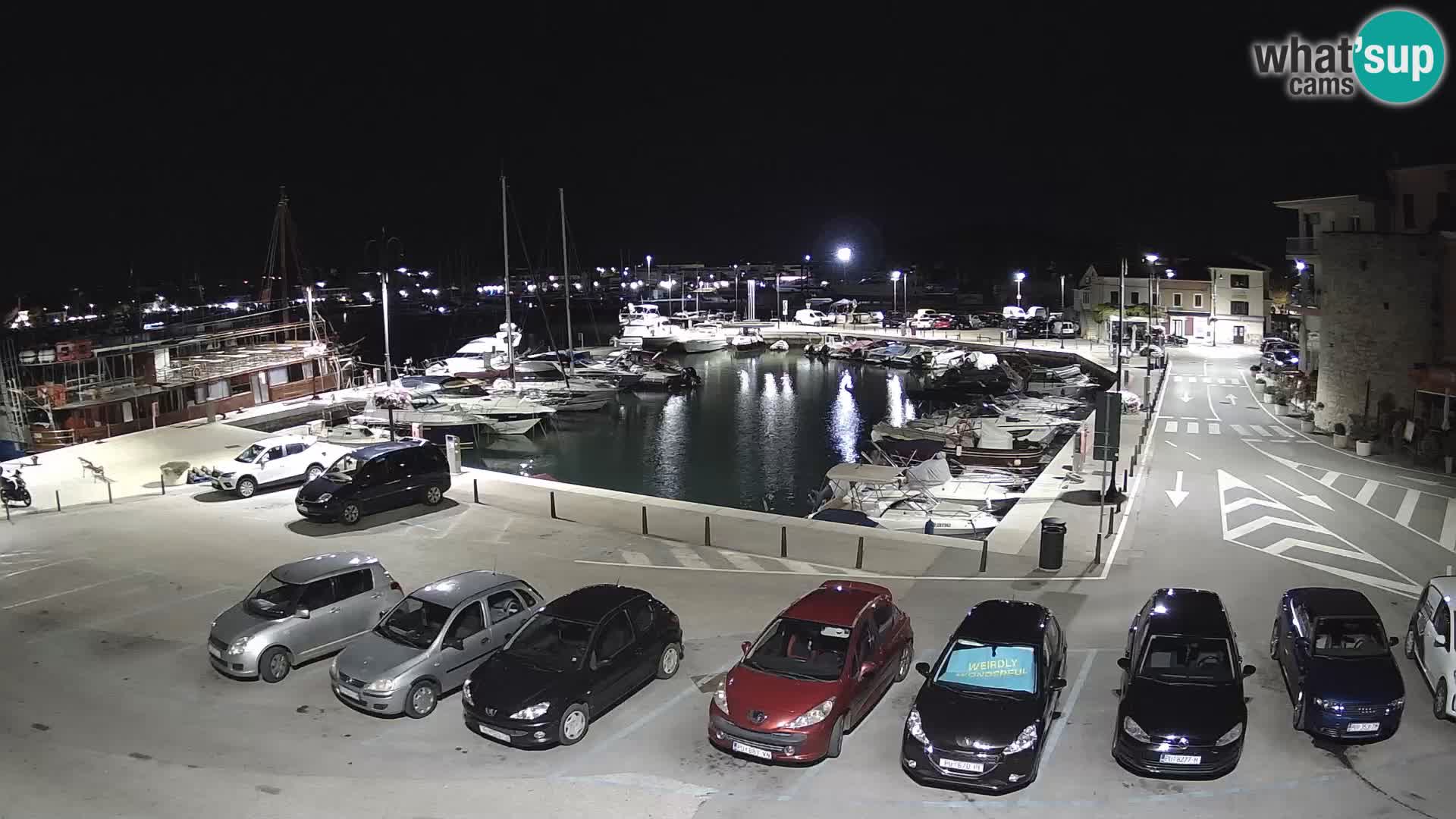 Novigrad | Porporela marina