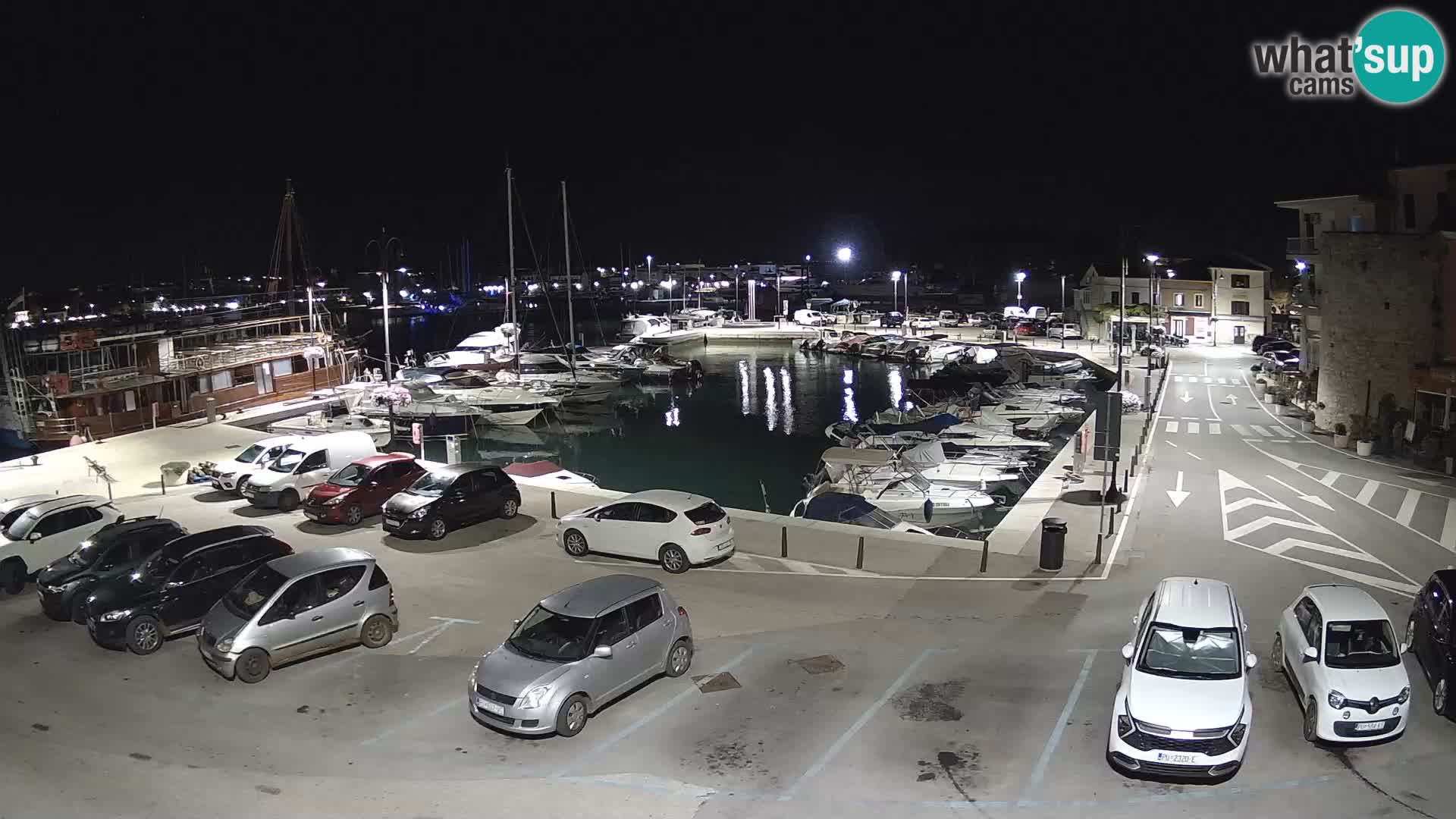 Novigrad | Porporela marina