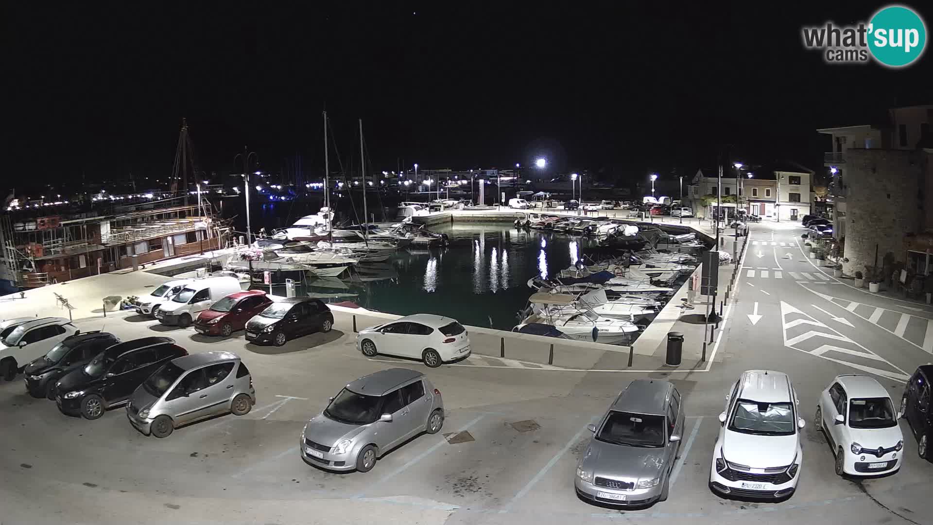 Novigrad | Porporela marina