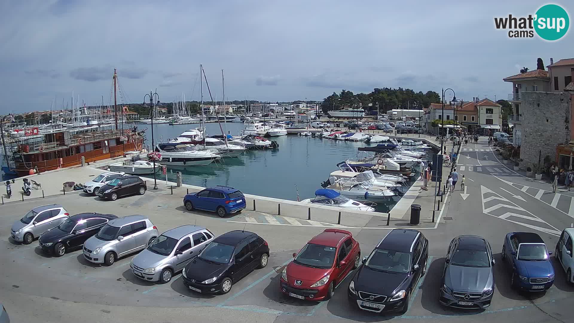 Novigrad | Porporela marina