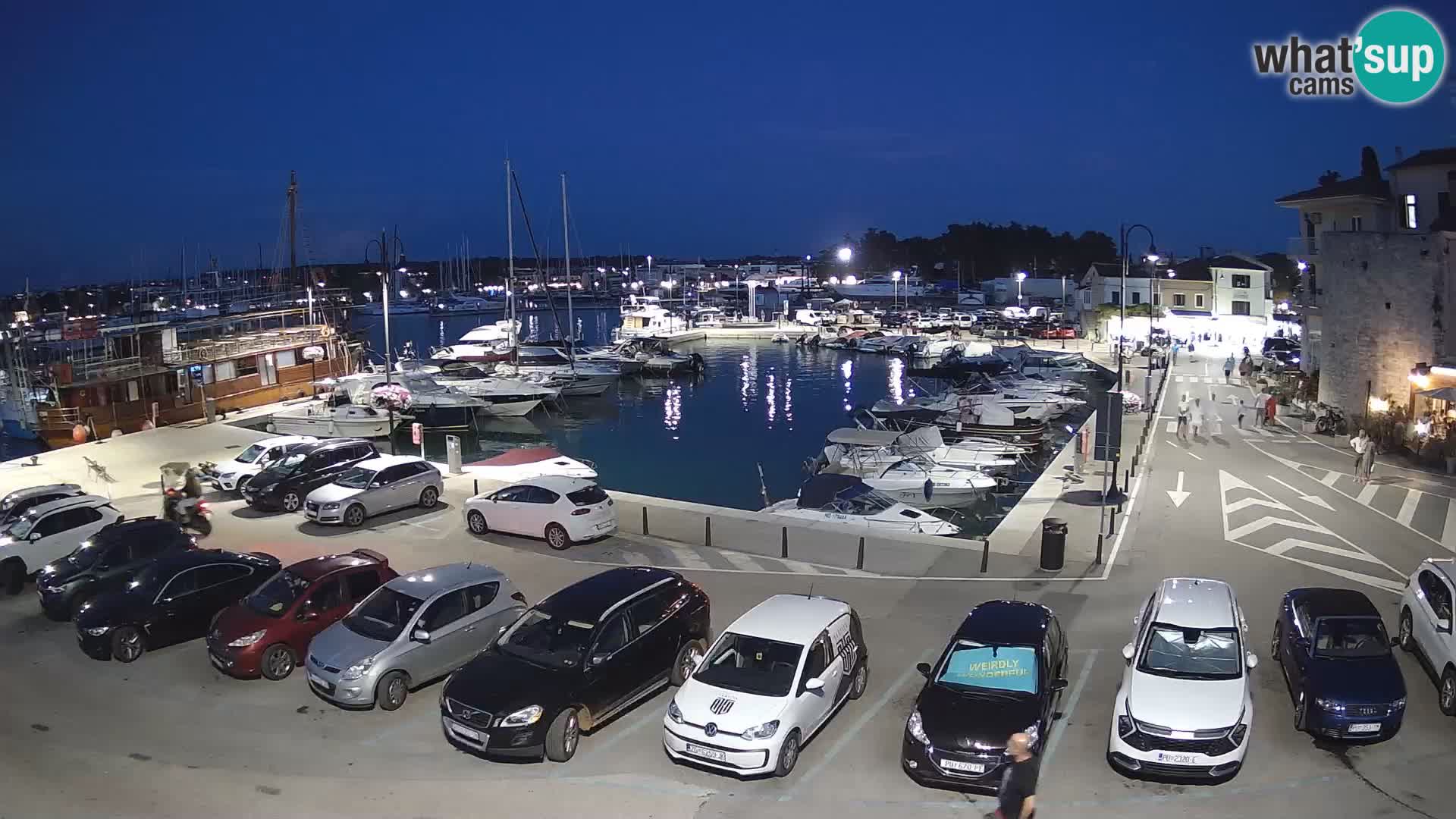 Novigrad | Porporela marina