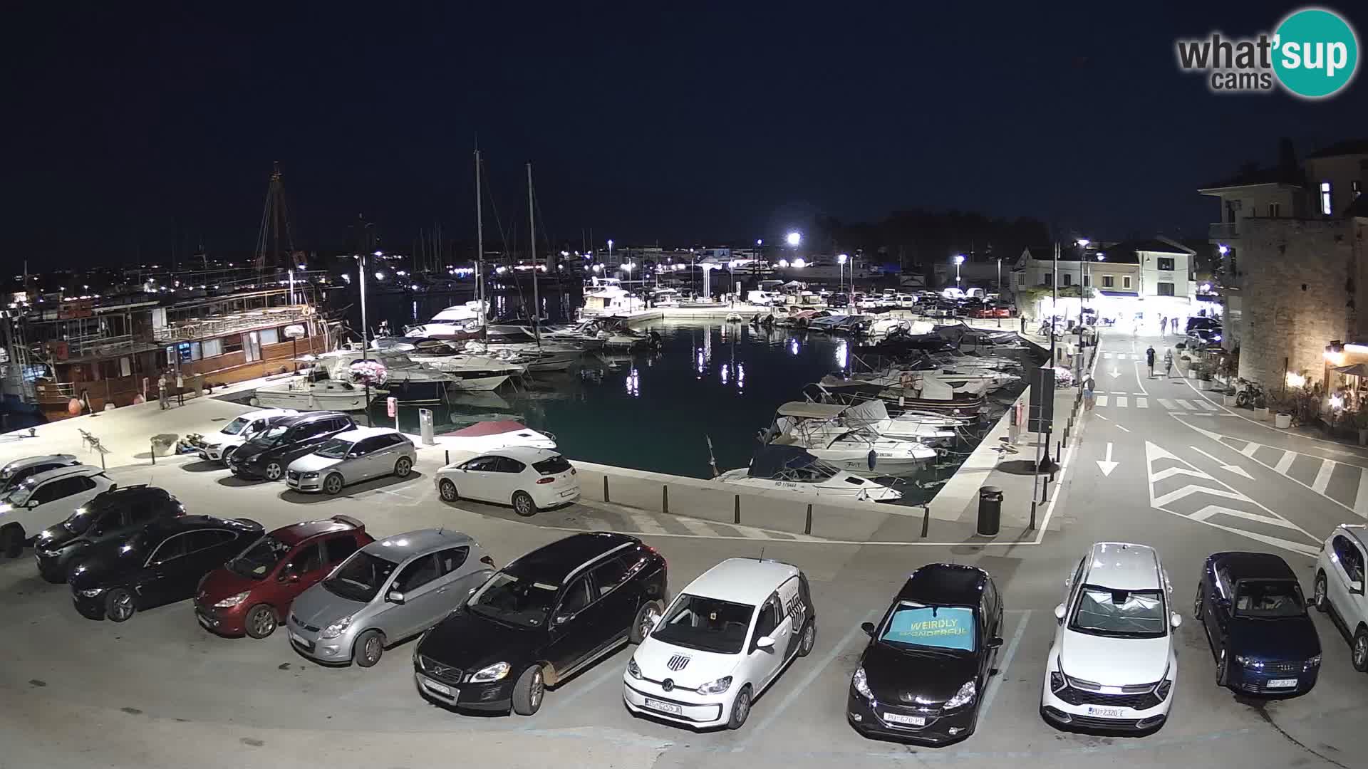 Novigrad | Porporela marina
