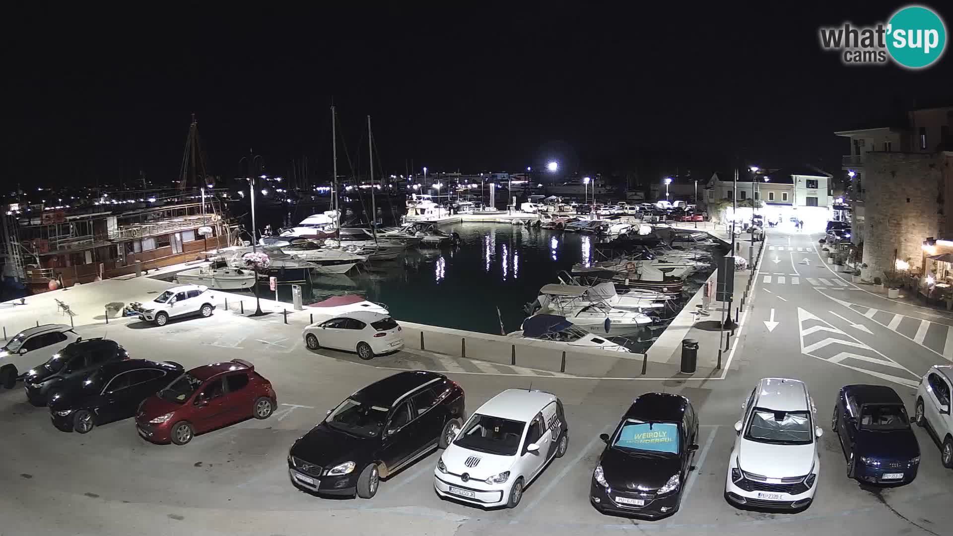 Novigrad | Porporela marina