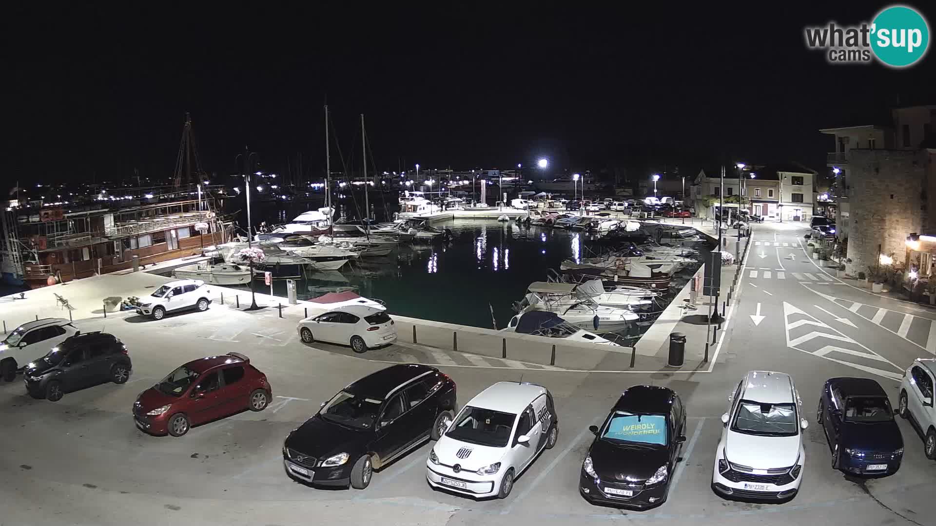 Novigrad | Porporela marina