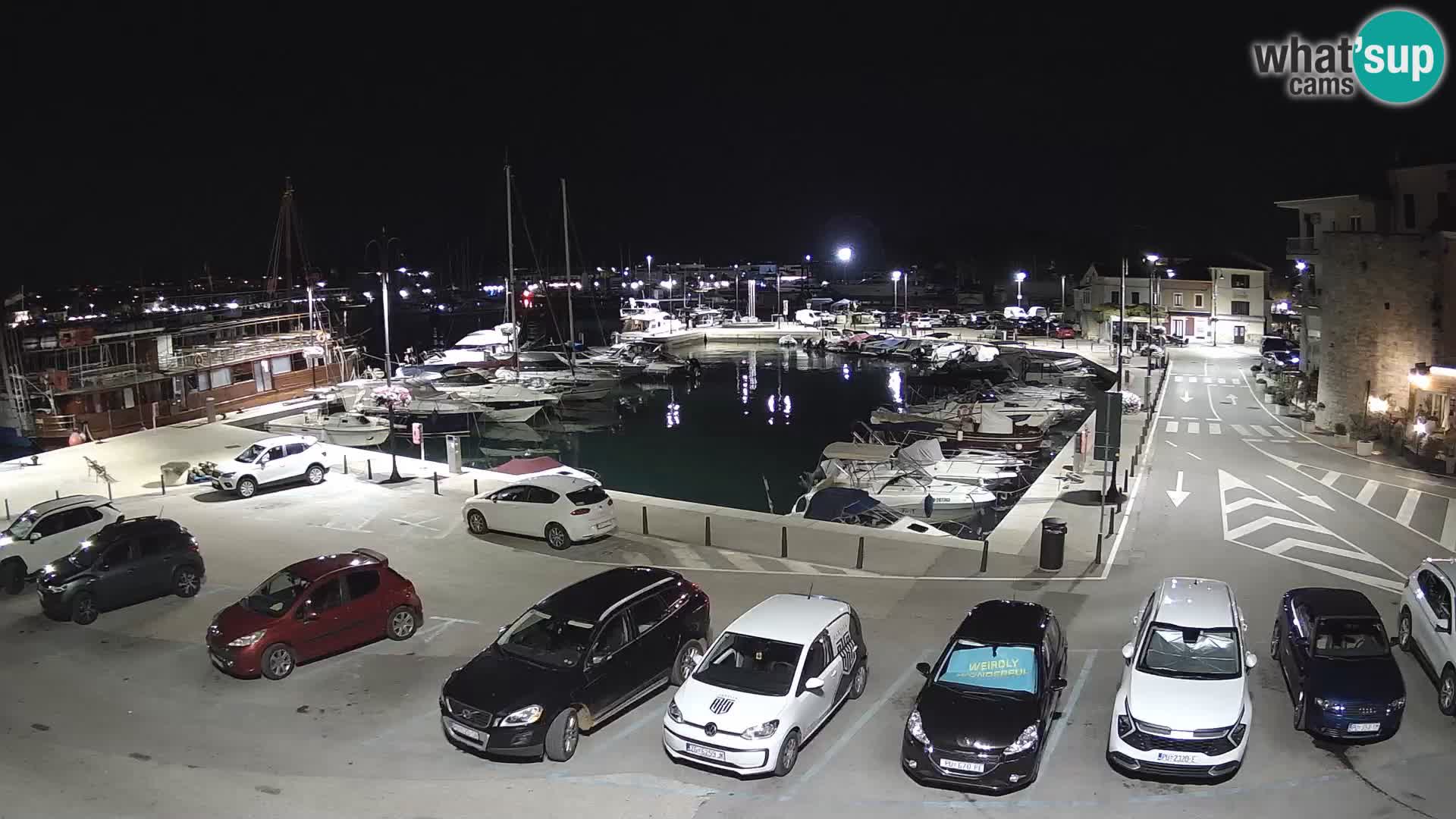 Novigrad | Porporela marina