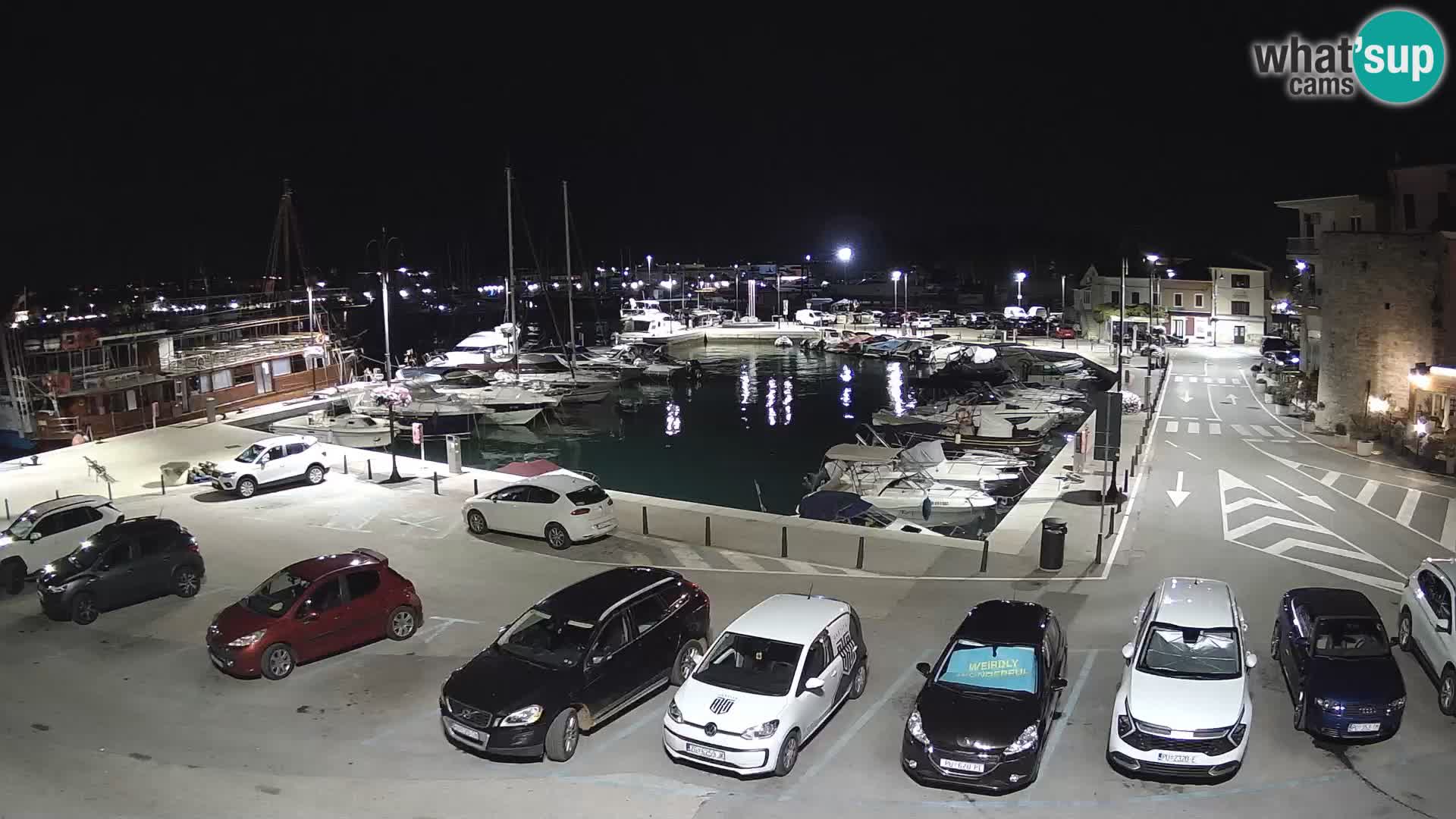 Novigrad | Porporela marina