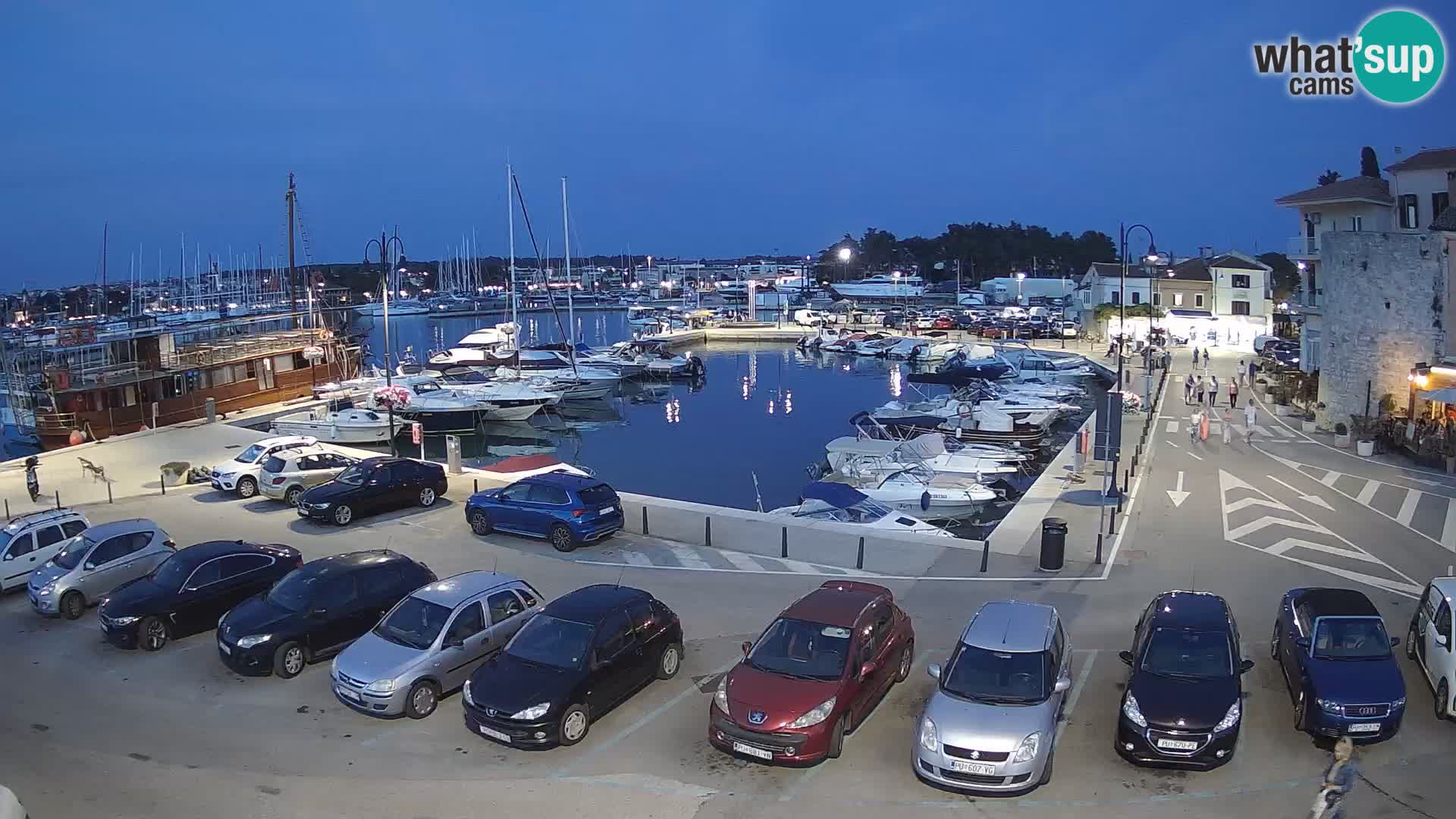 Novigrad | Porporela marina