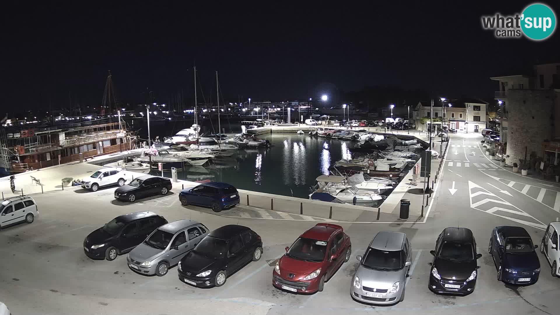 Novigrad | Porporela marina